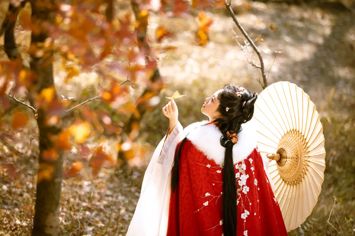 满阶红叶
