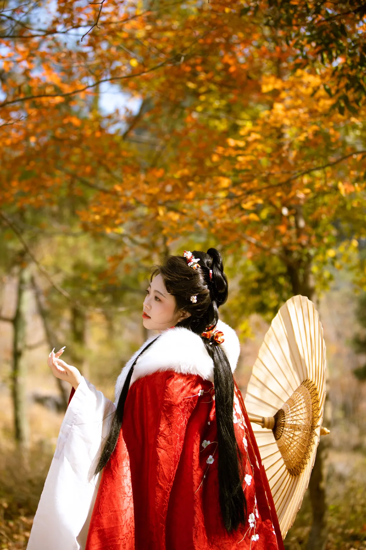 满阶红叶