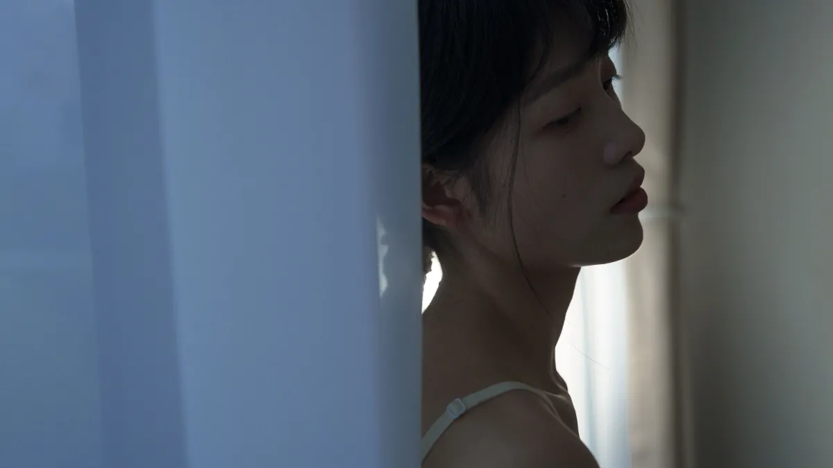我跟一个柿子的故事