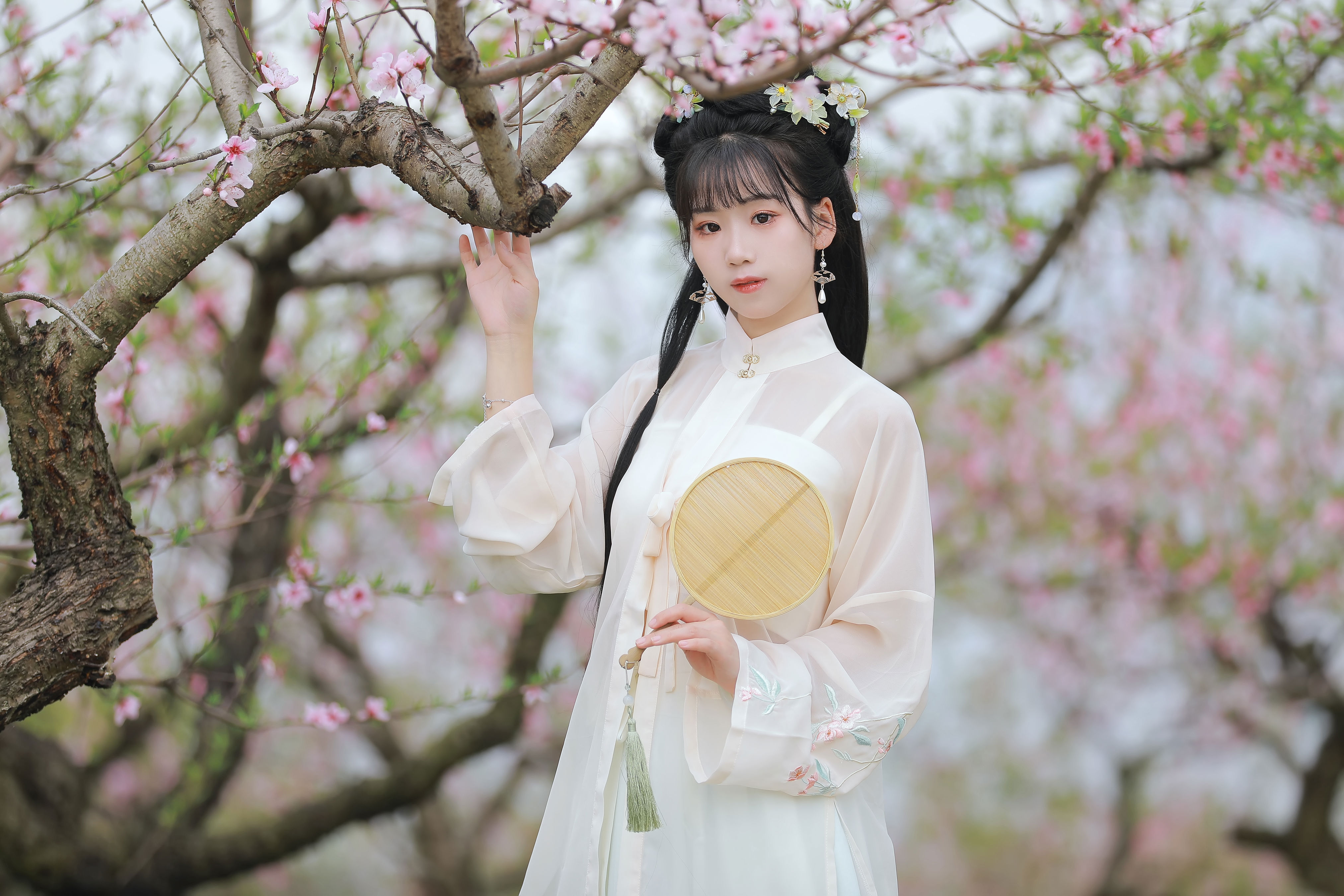 桃花1