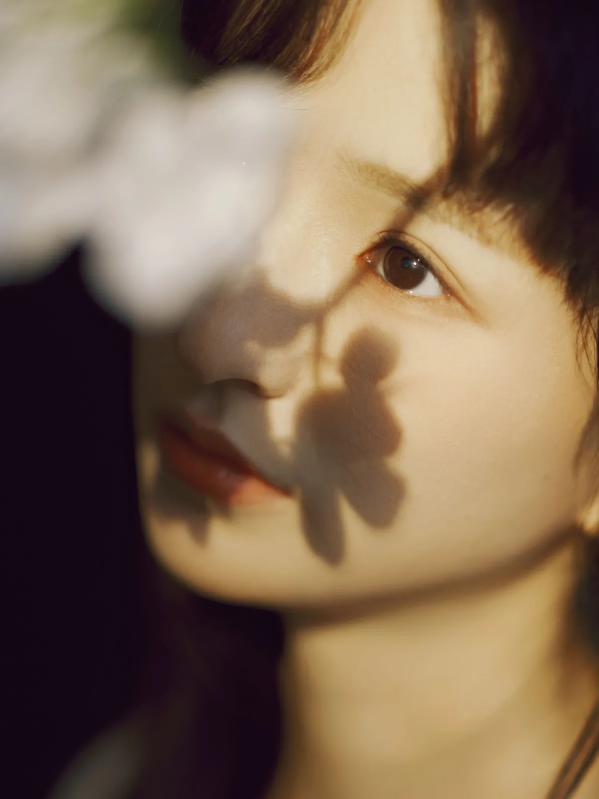 猫八木_Maoqi《白鸽》美图作品图片2