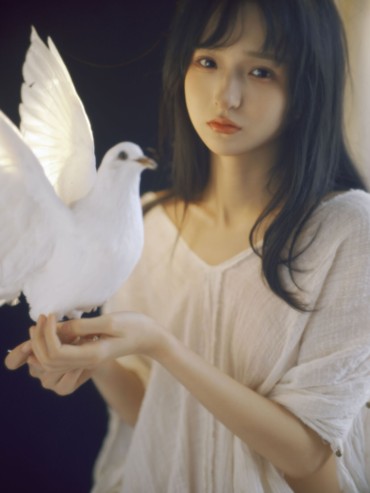 猫八木_Maoqi《白鸽》美图作品图片5