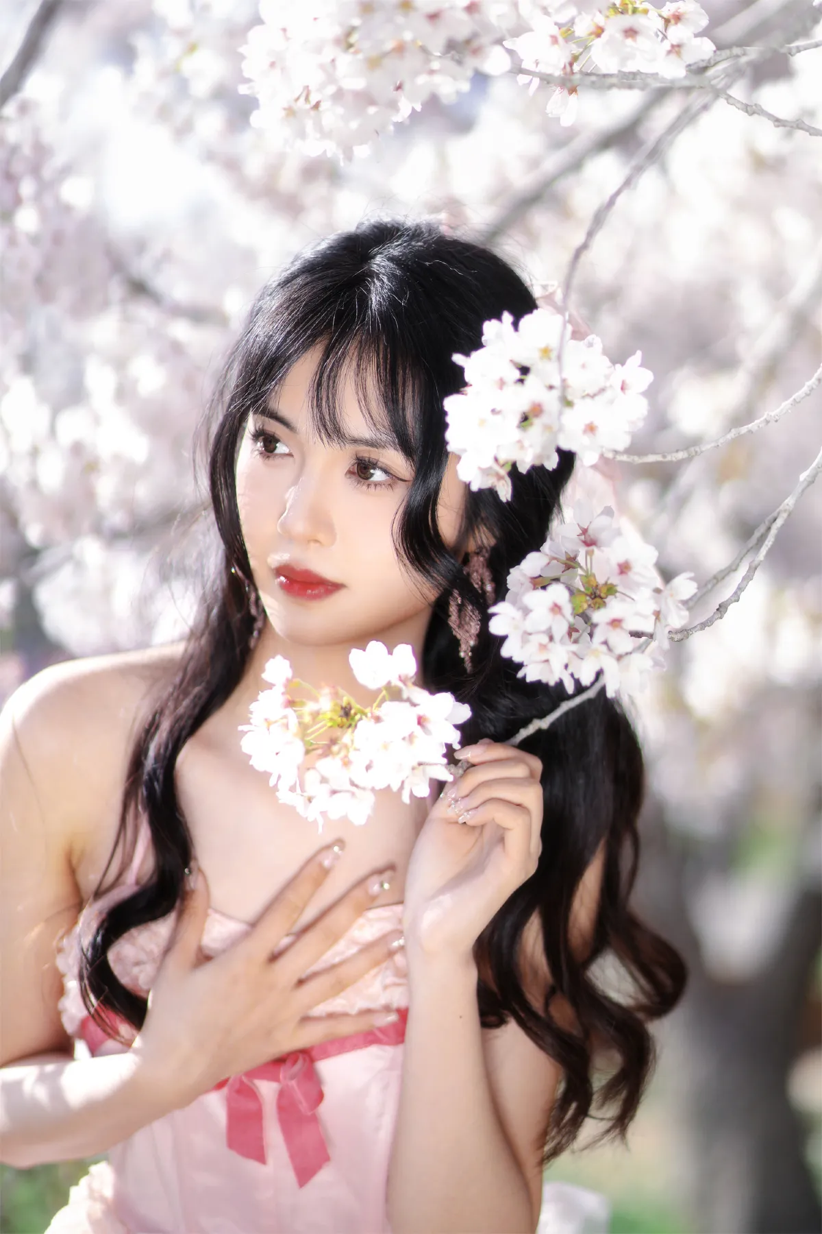 樱花味的春天