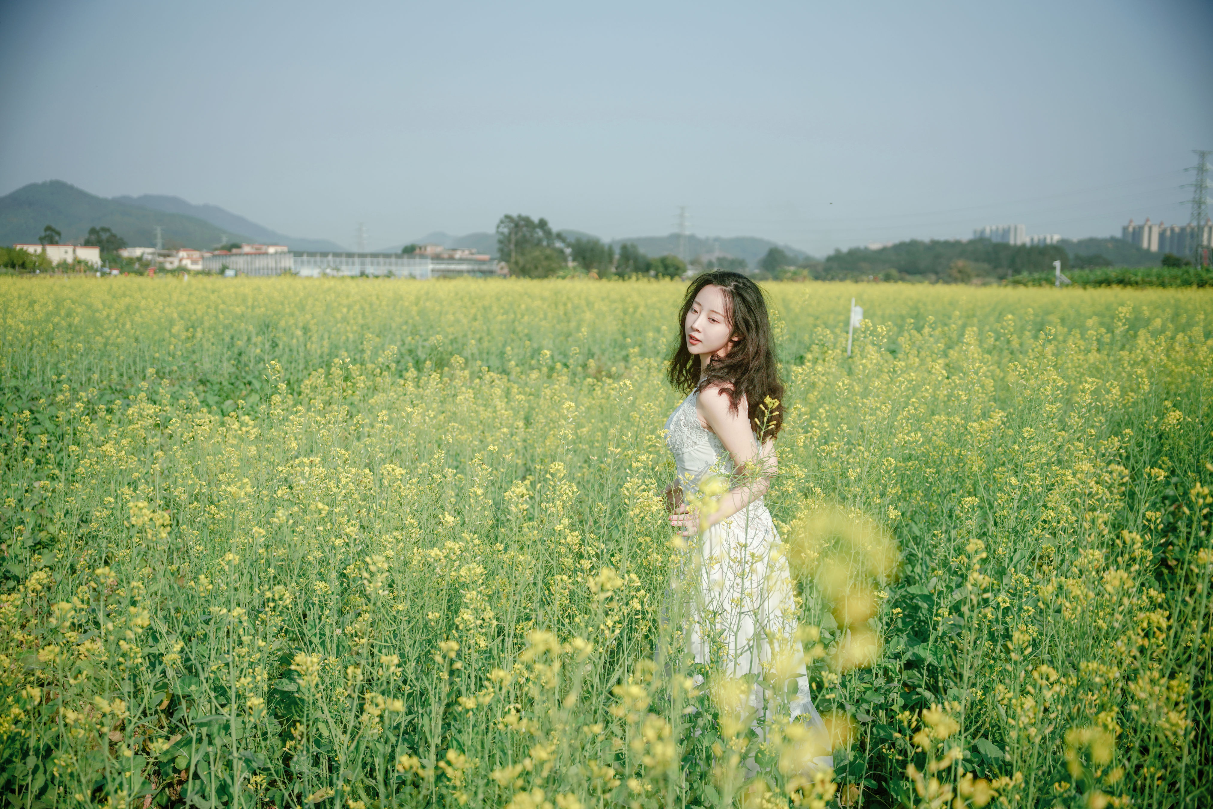 花田少女的春日梦