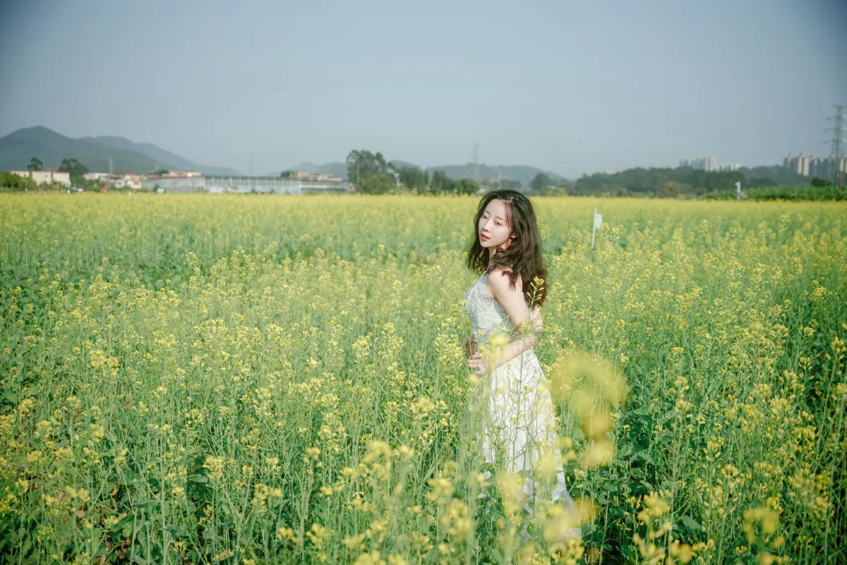 花田少女的春日梦
