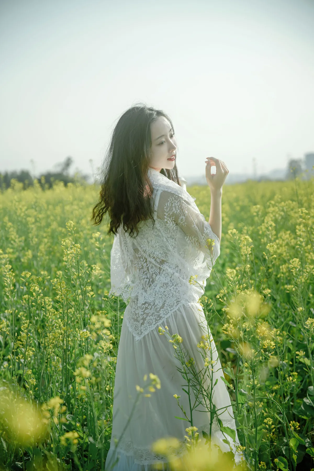 花田少女的春日梦