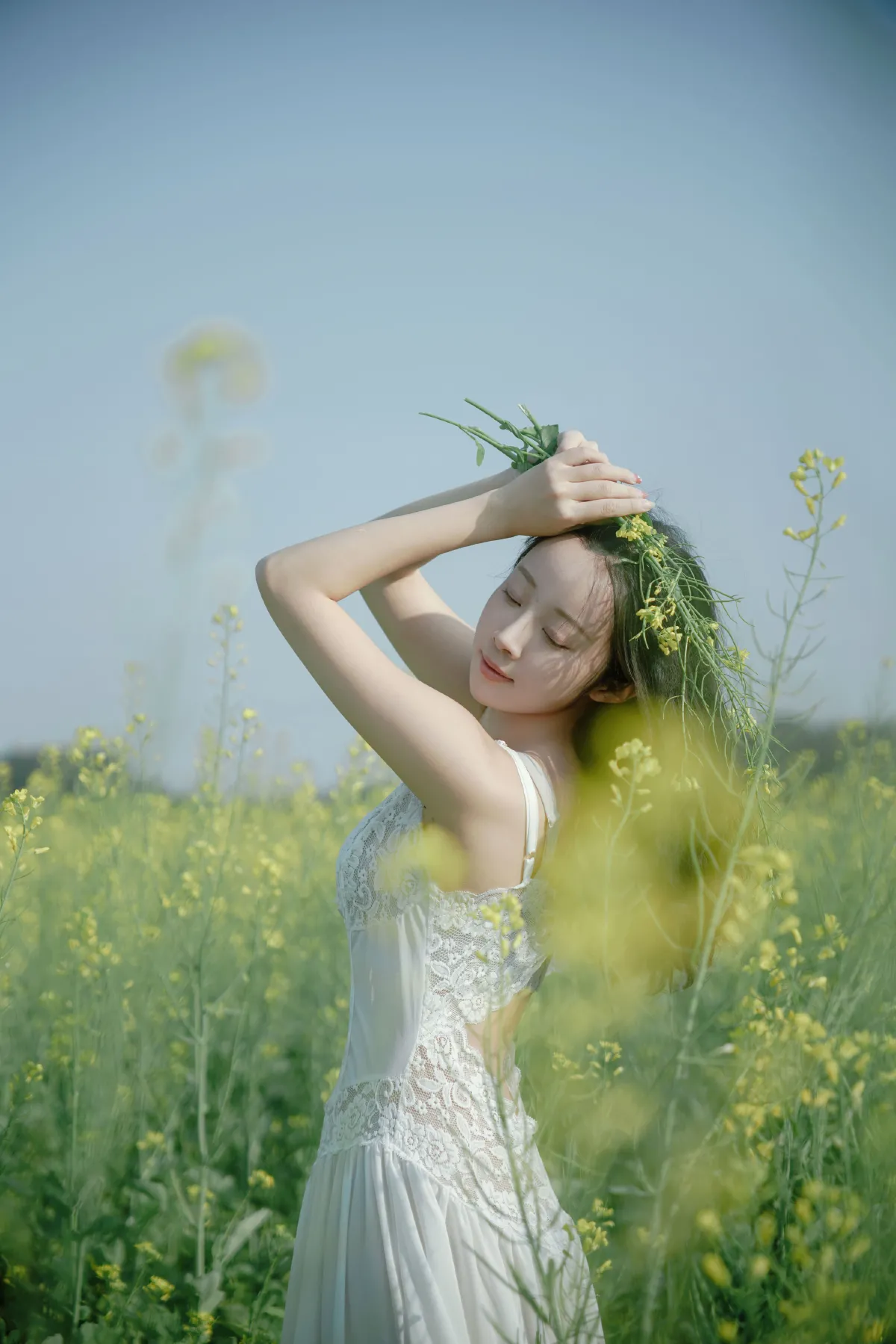 花田少女的春日梦