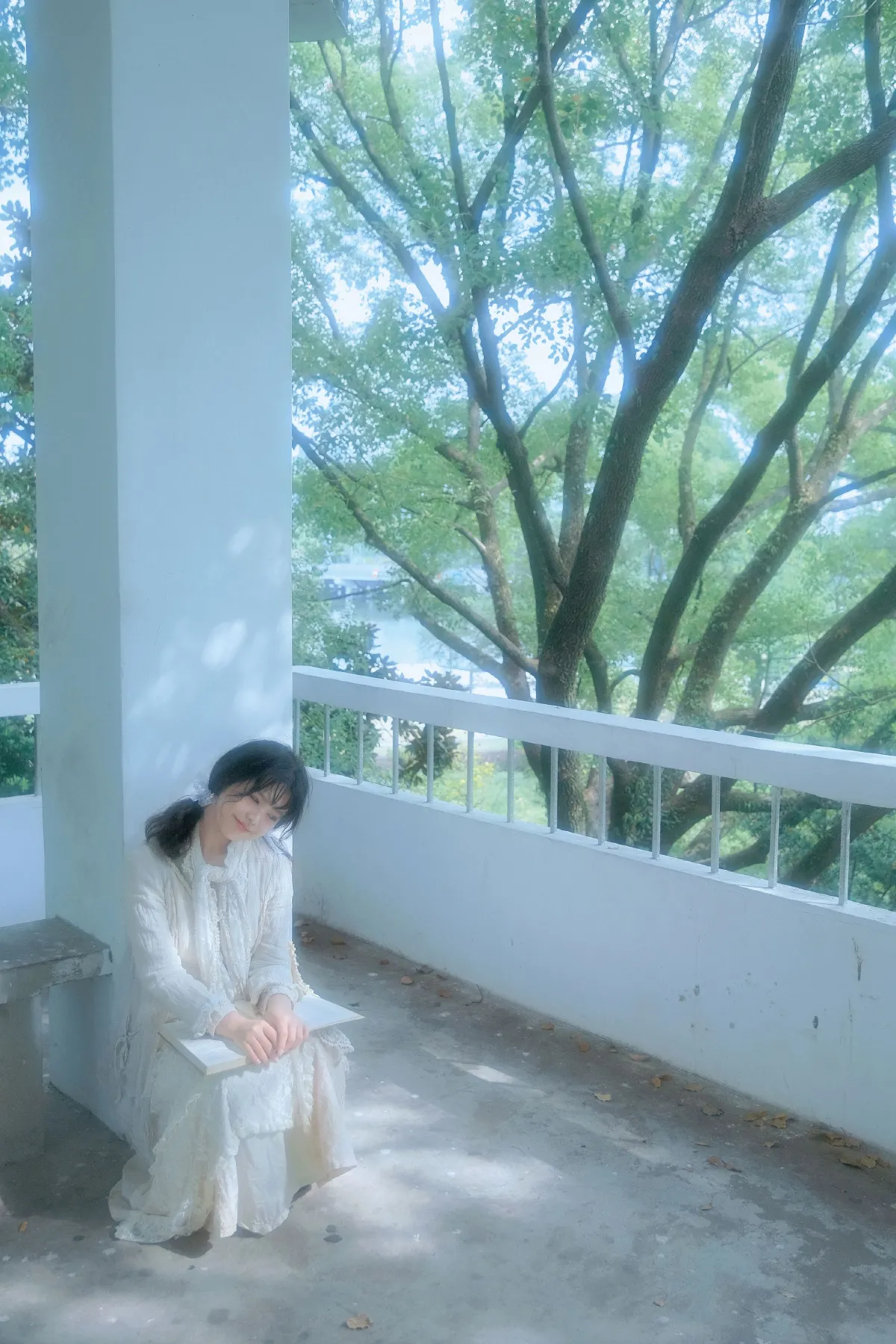 树与光
