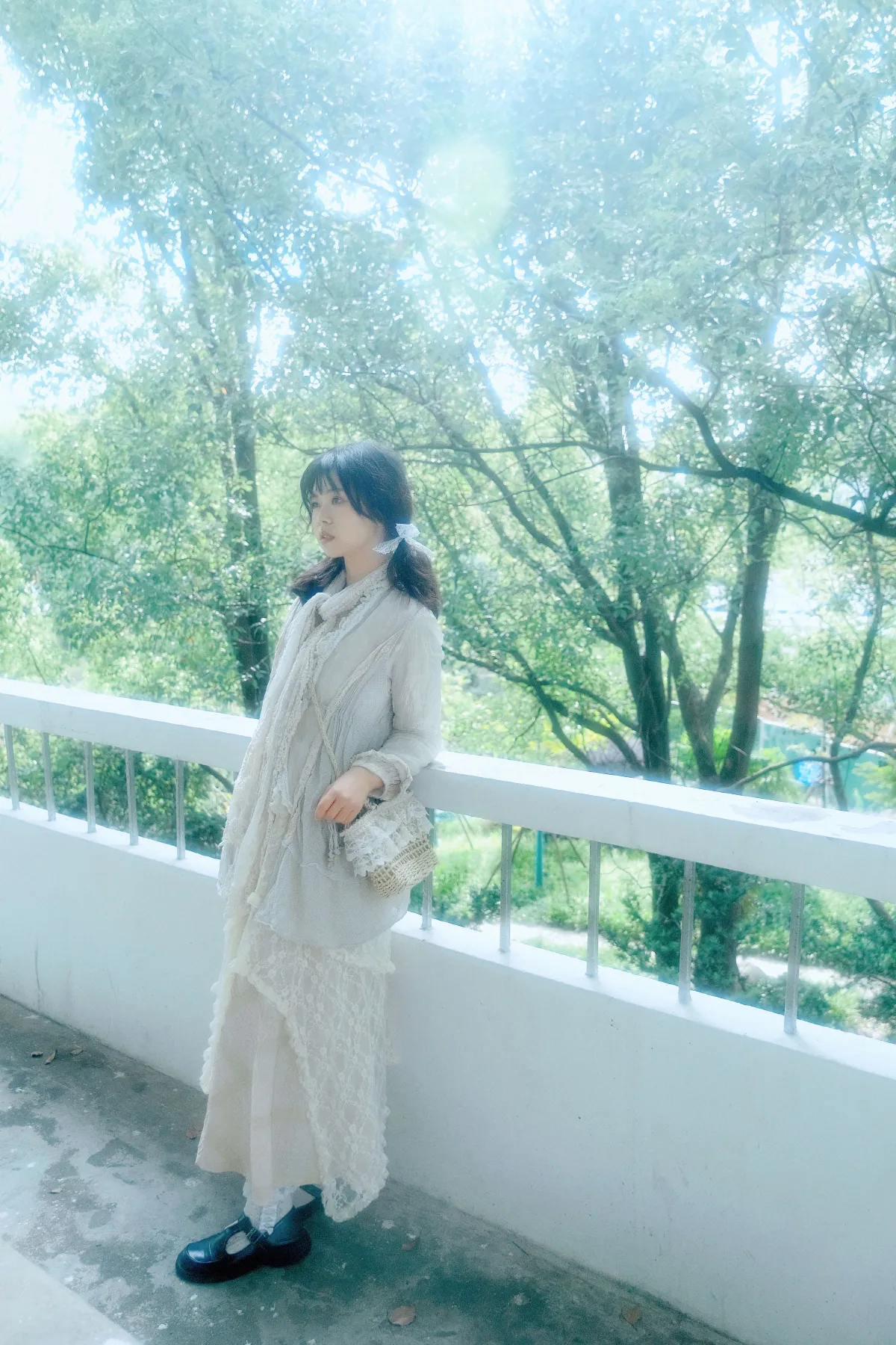 树与光