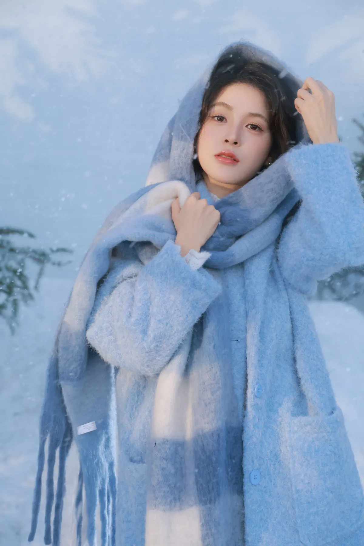春雪
