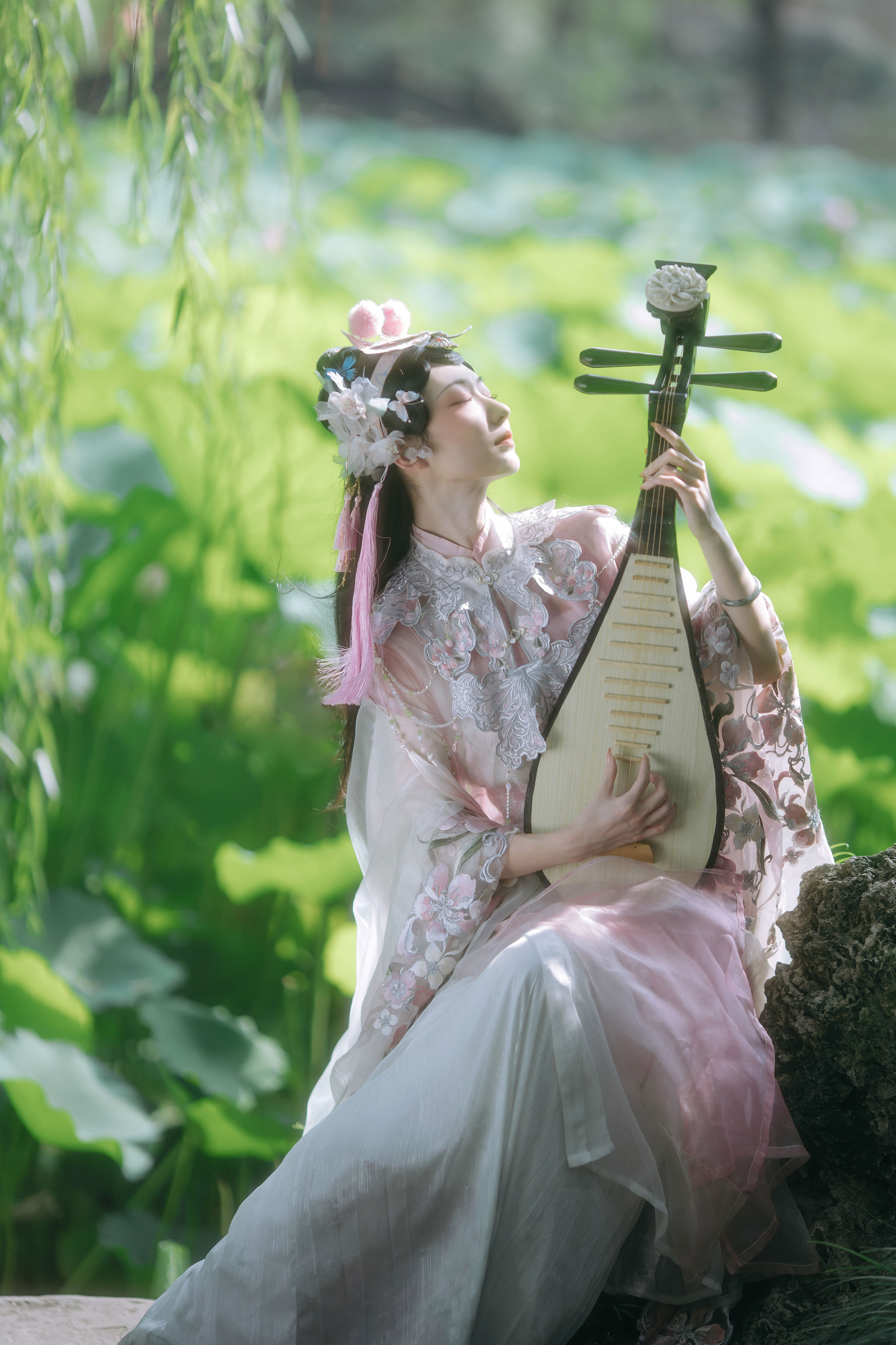 荷花仙