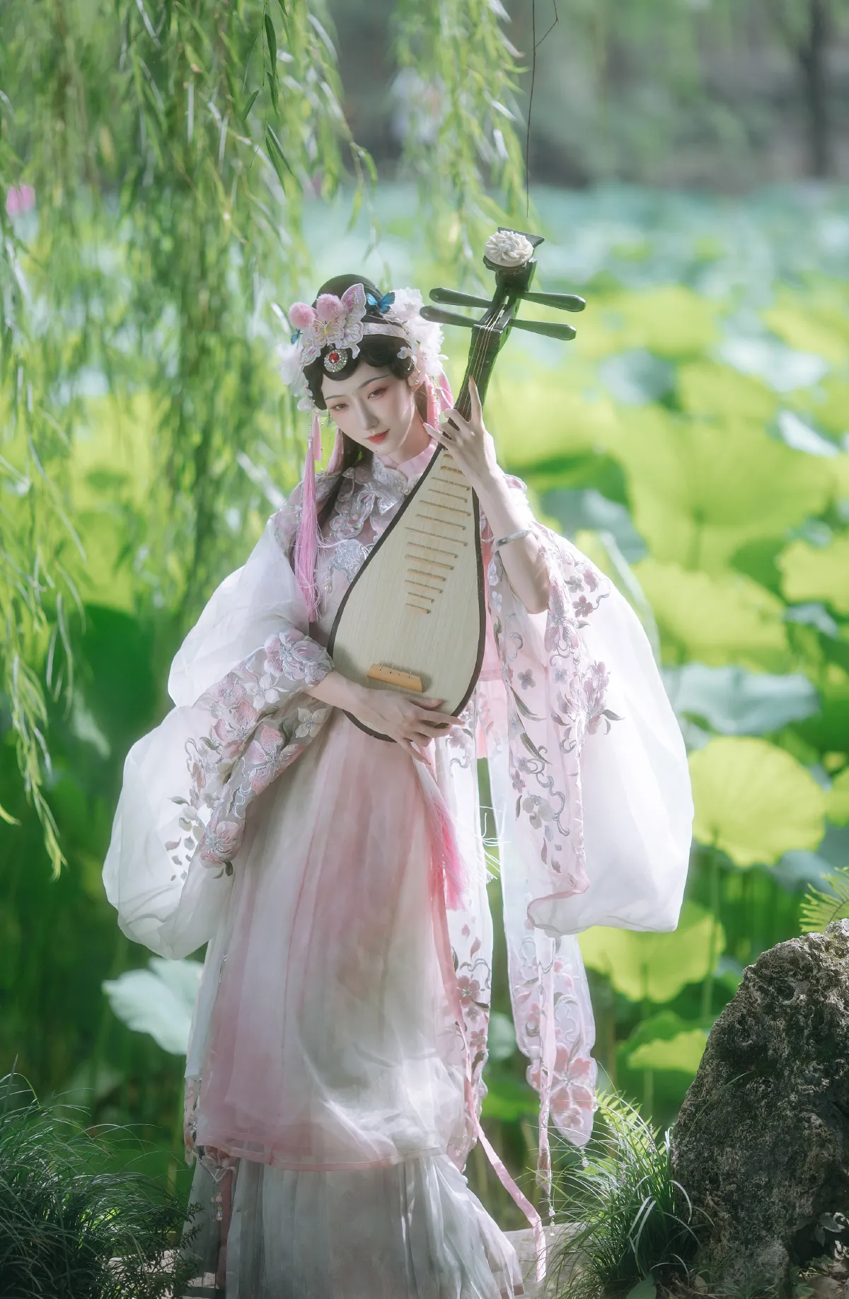 荷花仙