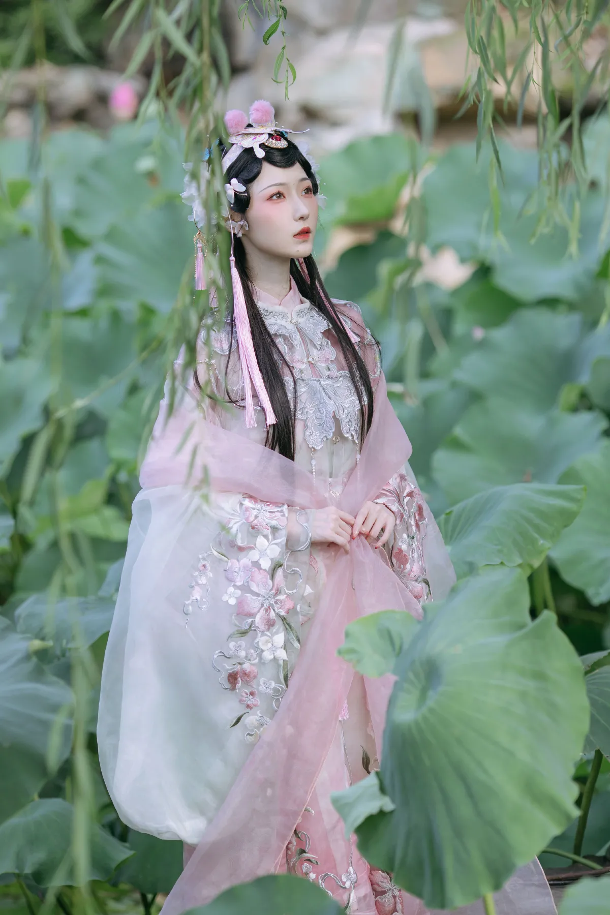 荷花仙