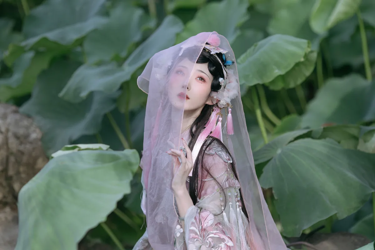 荷花仙