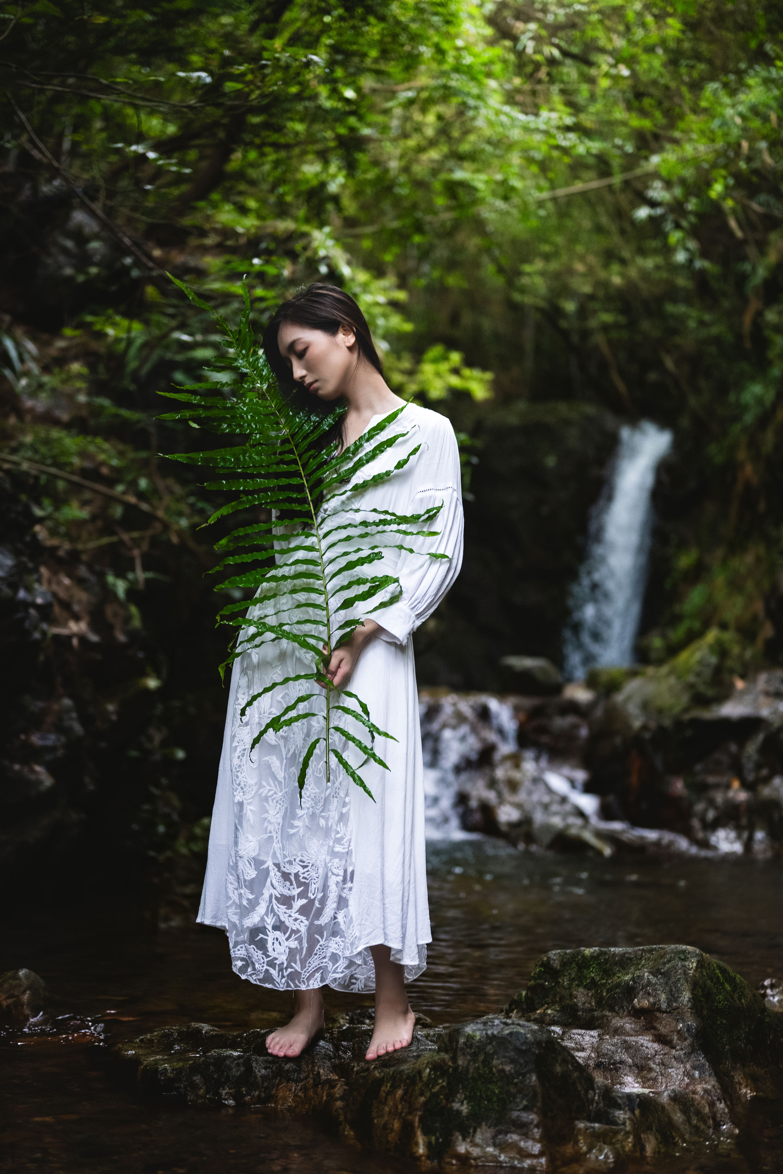 一片绿叶