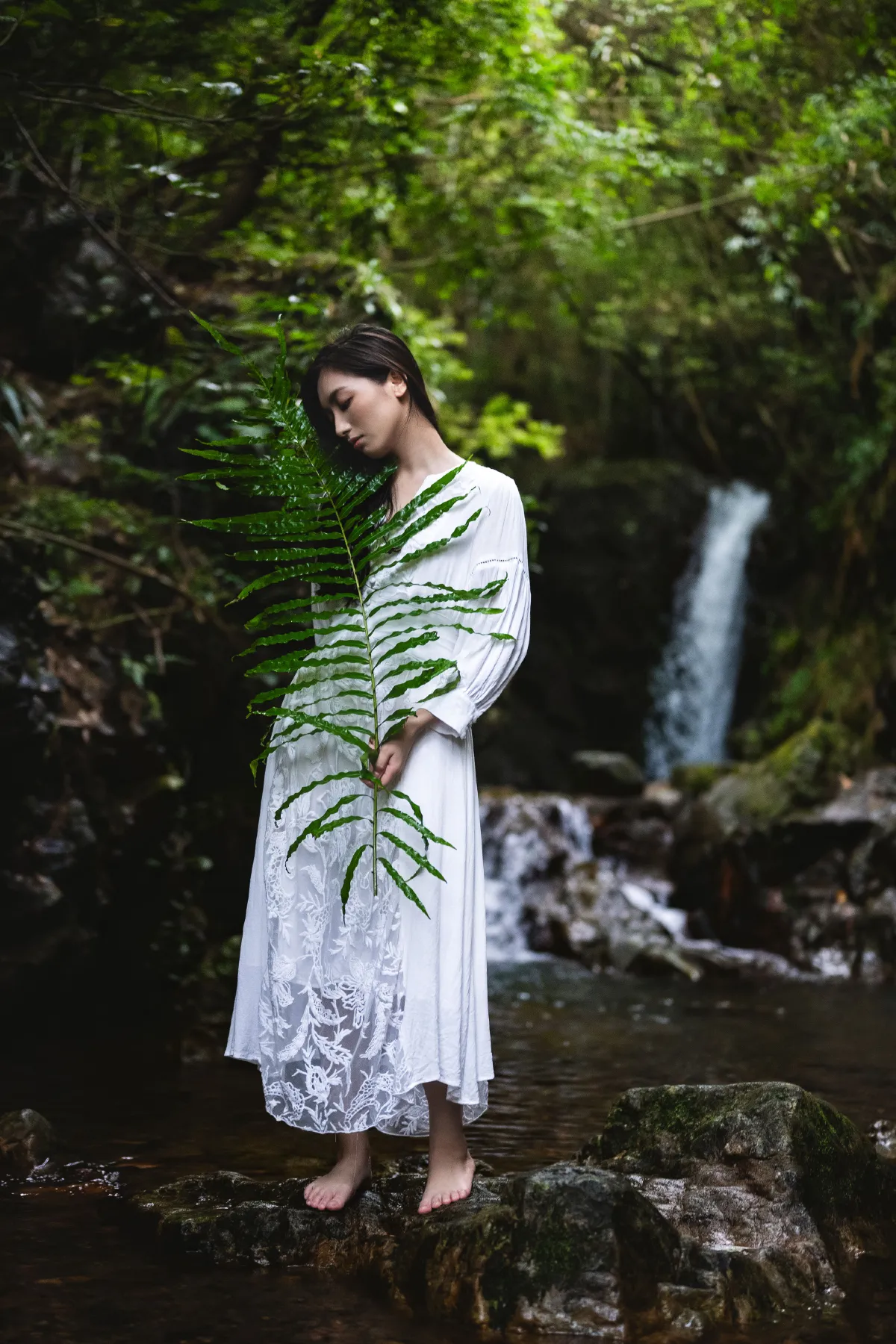 一片绿叶