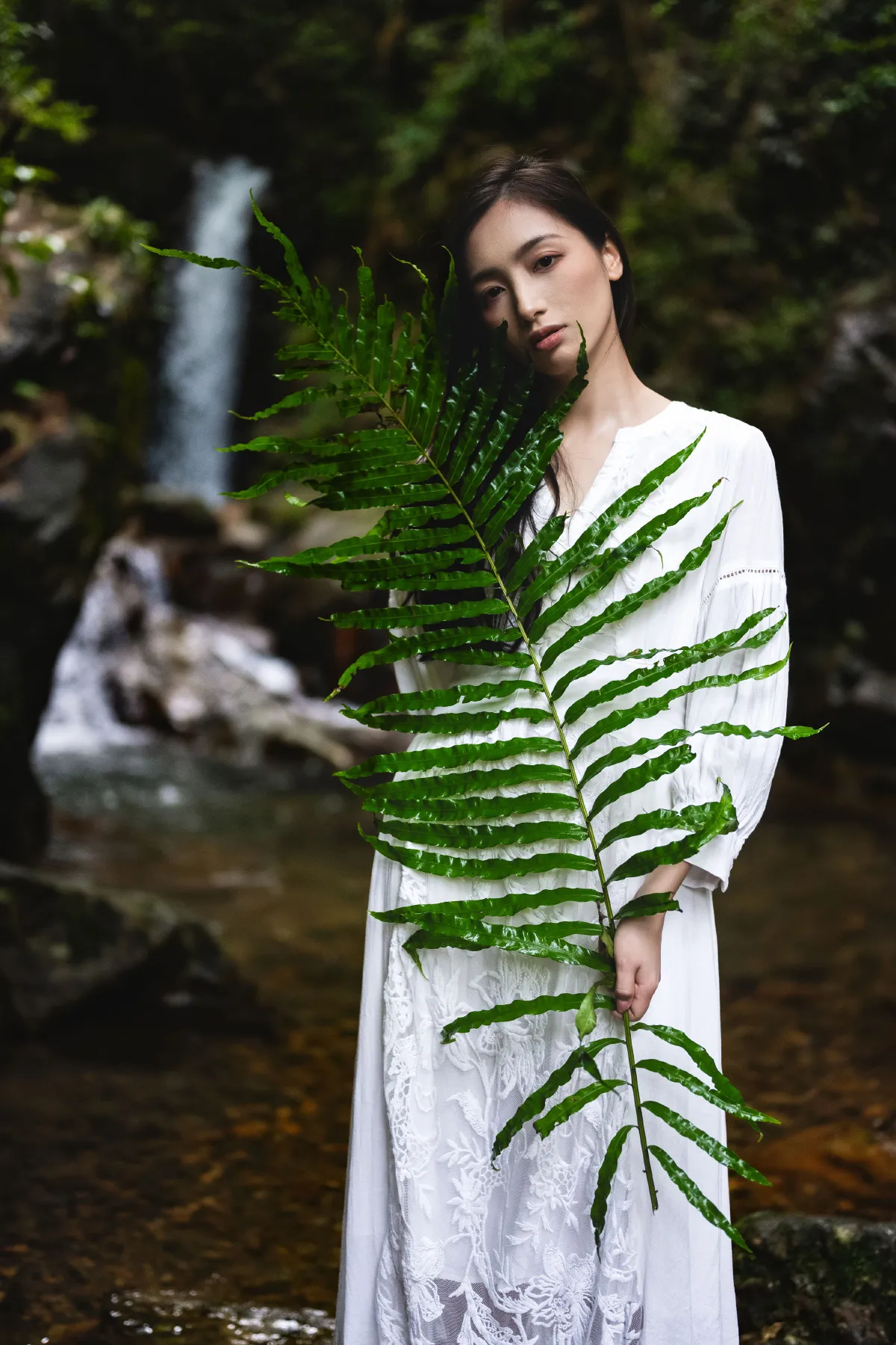 一片绿叶