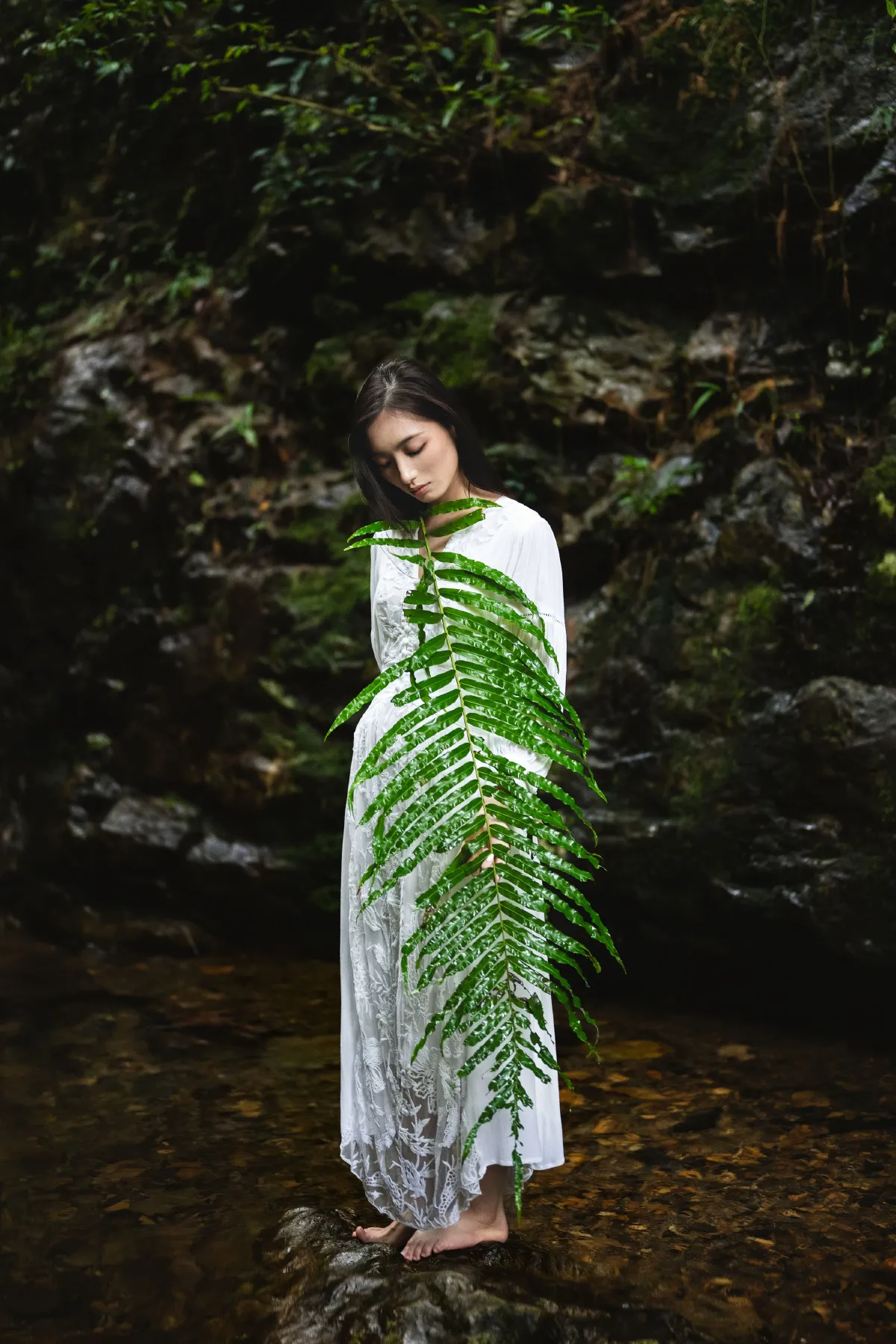 一片绿叶
