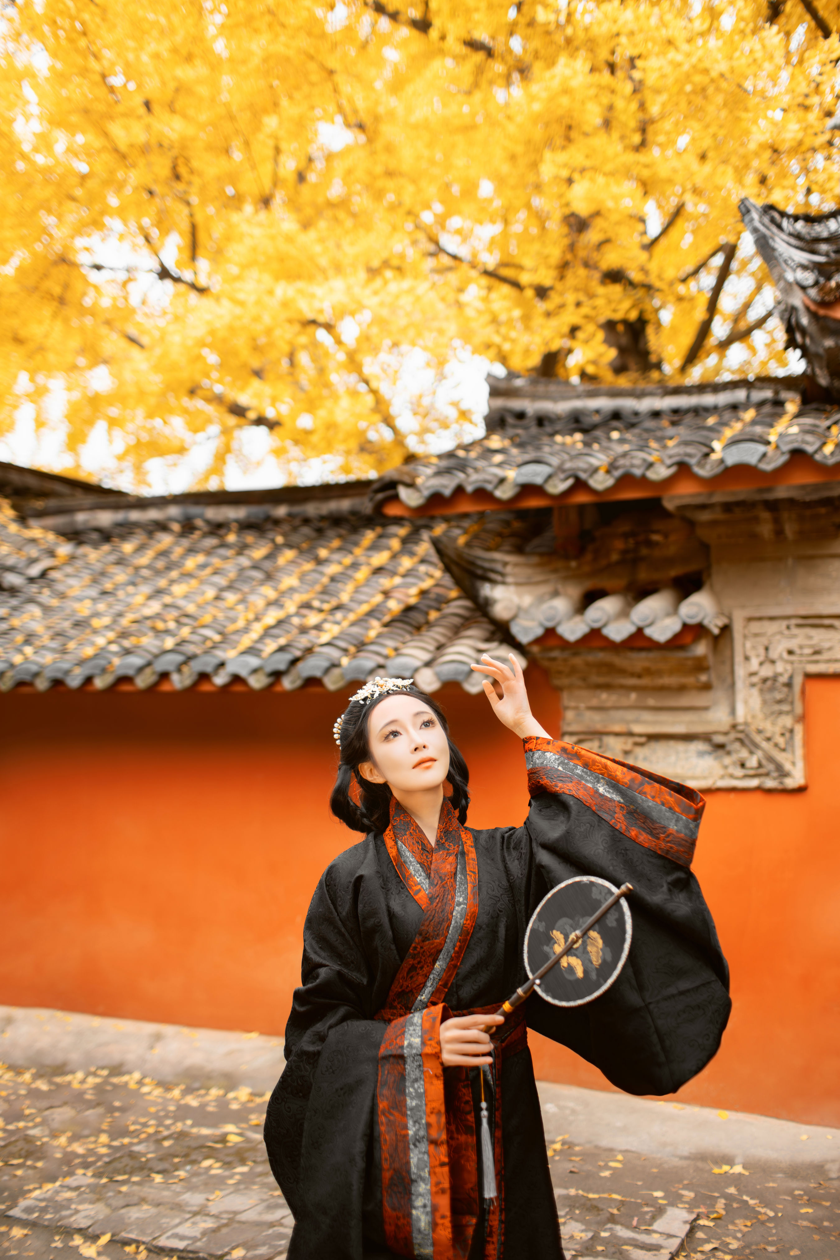 杏仙歌