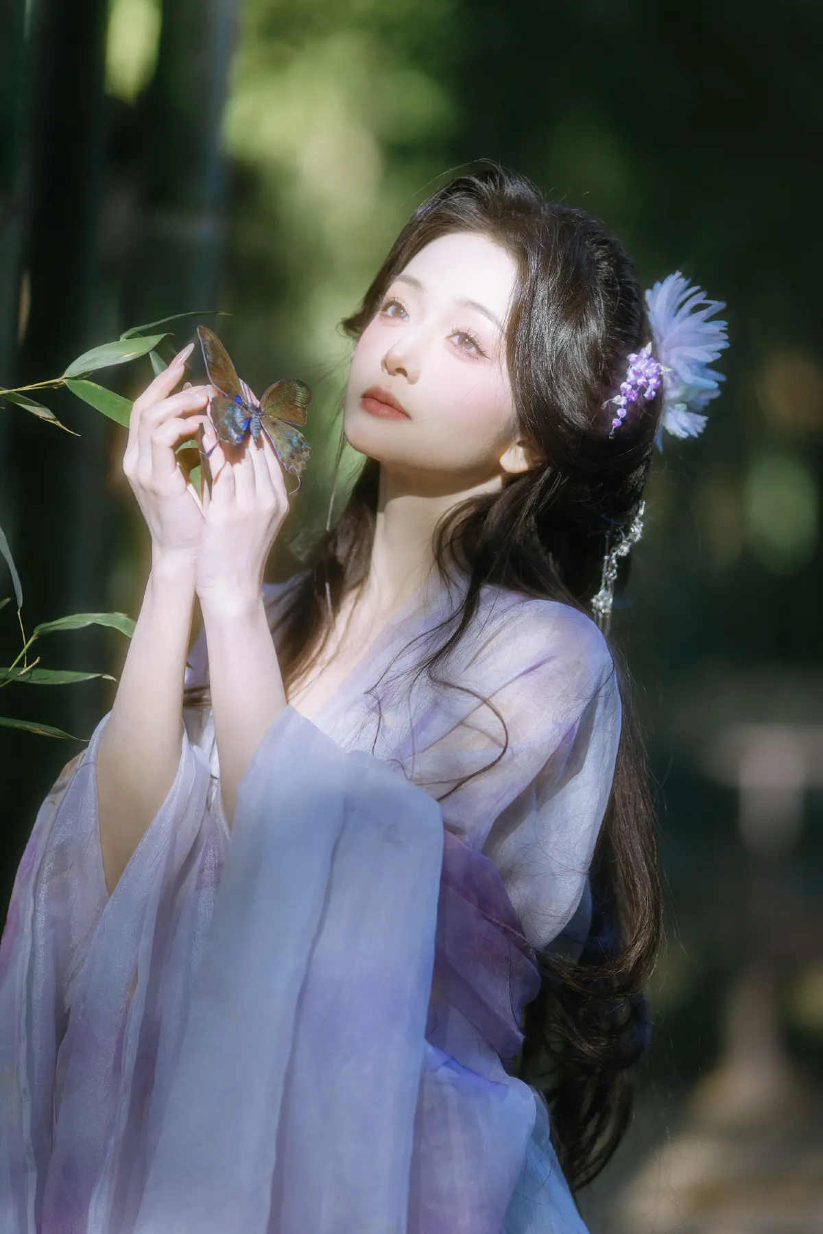 林间精灵