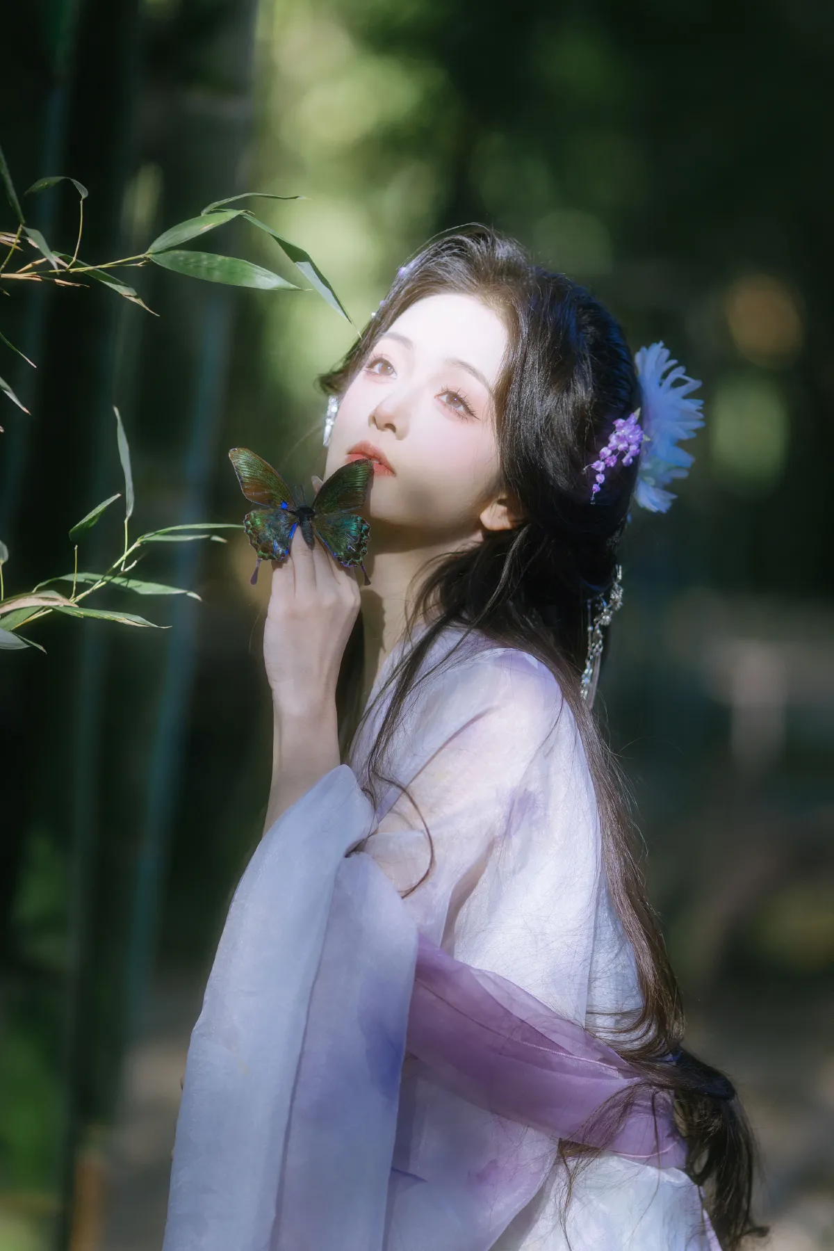 林间精灵
