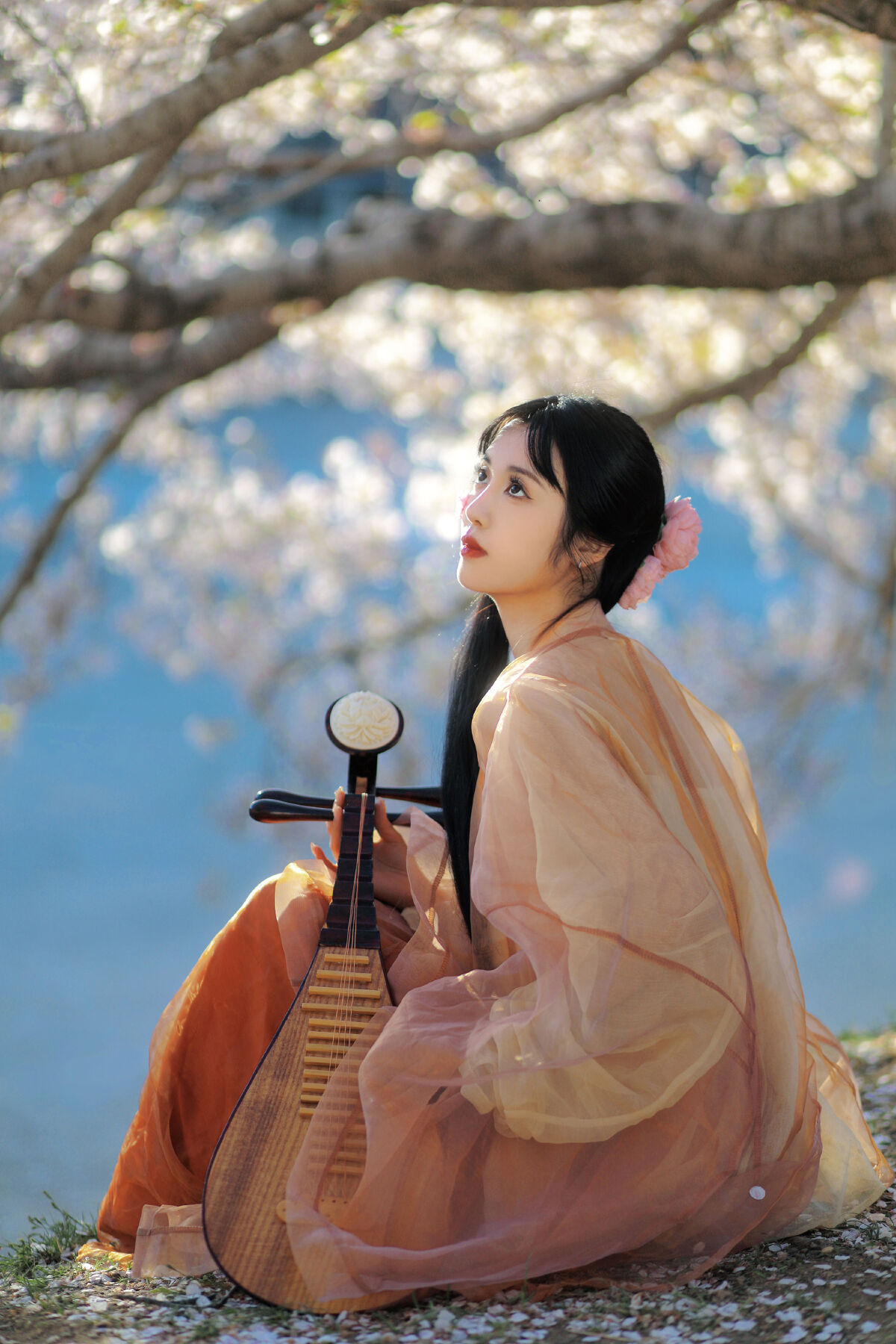 清洛_淺櫻桃奈《琵琶女》美图作品图片5