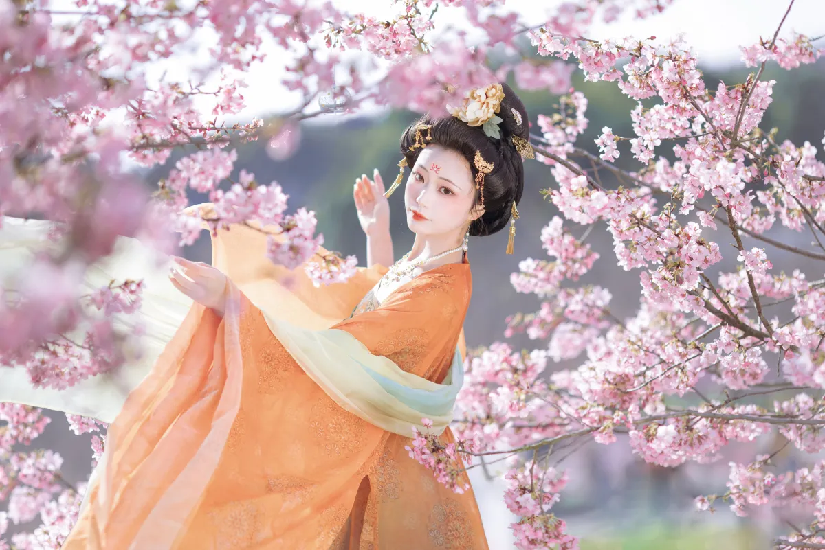 名花倾国两相欢2