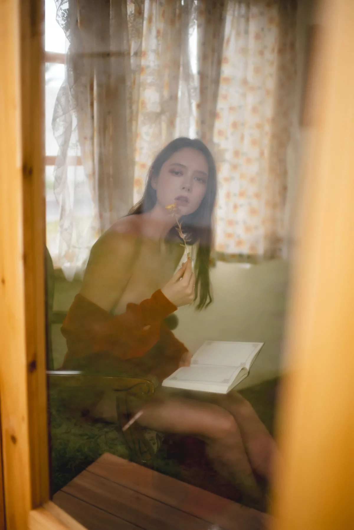 春风无限