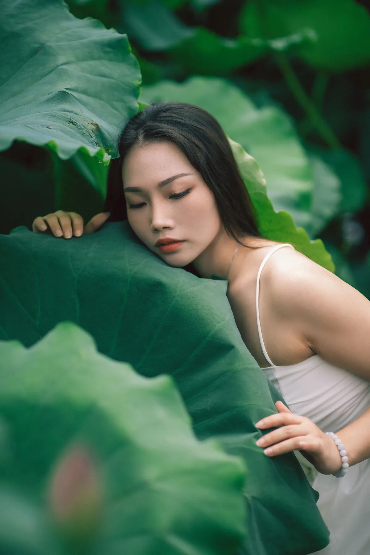 雨荷2