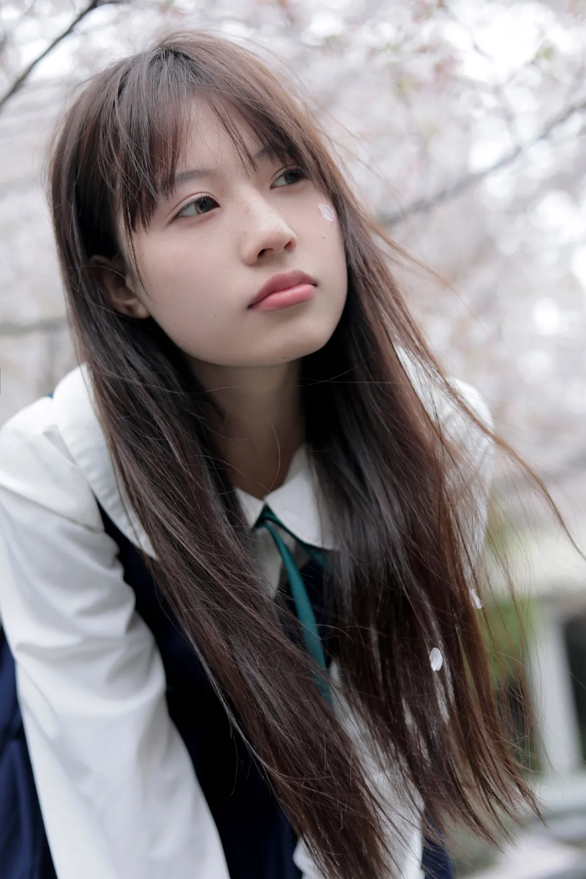 春日礼赞