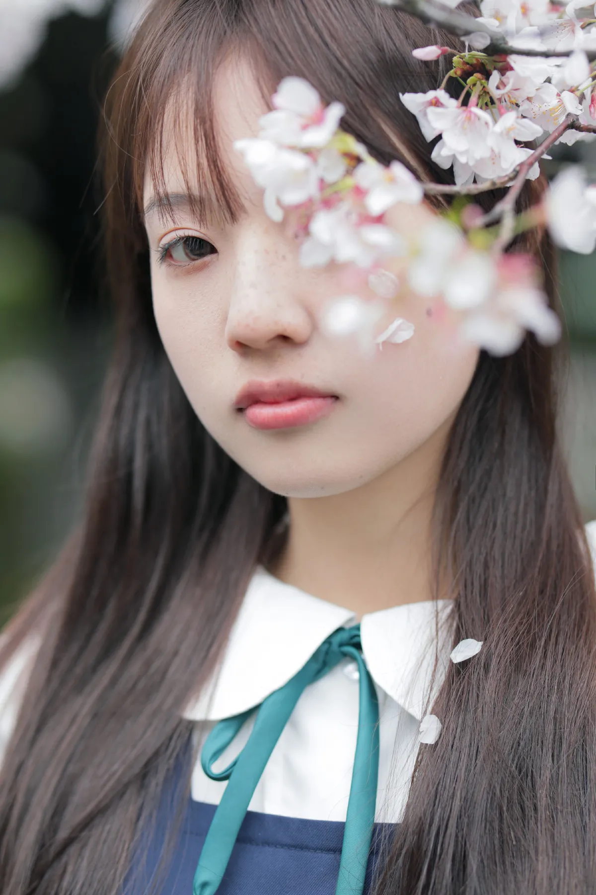 春日礼赞