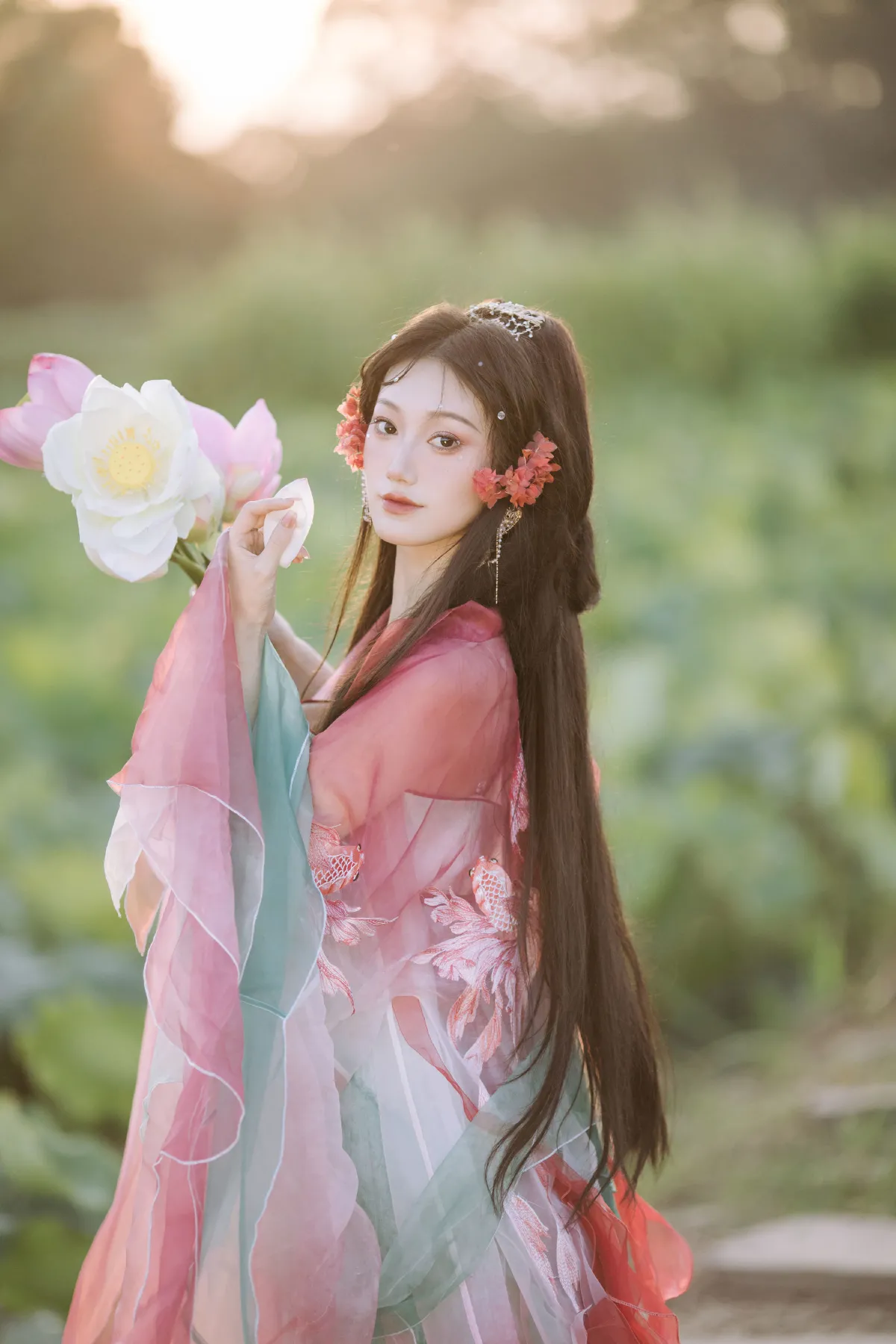 小锦鲤2
