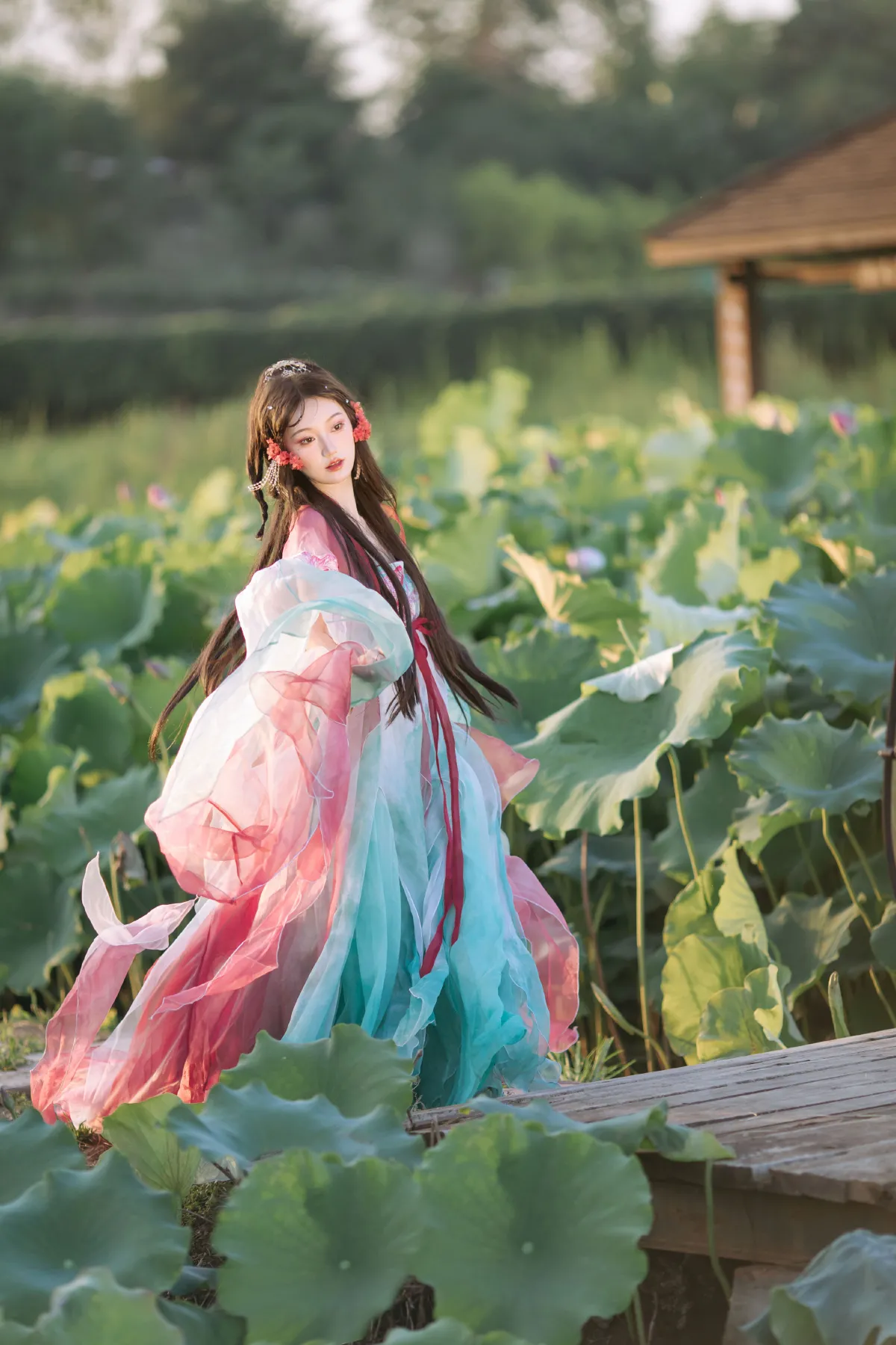 小锦鲤