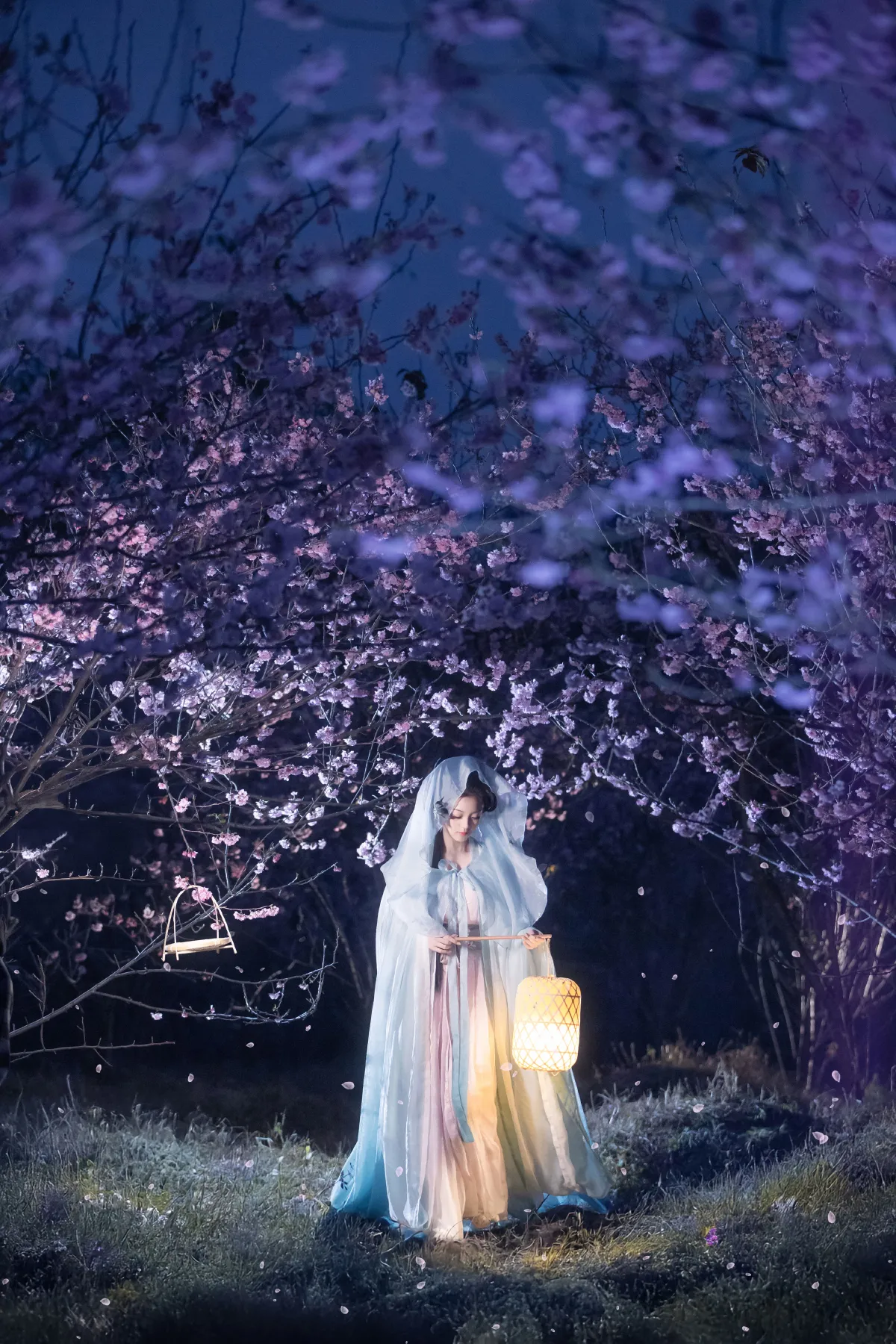 梦遣看花人