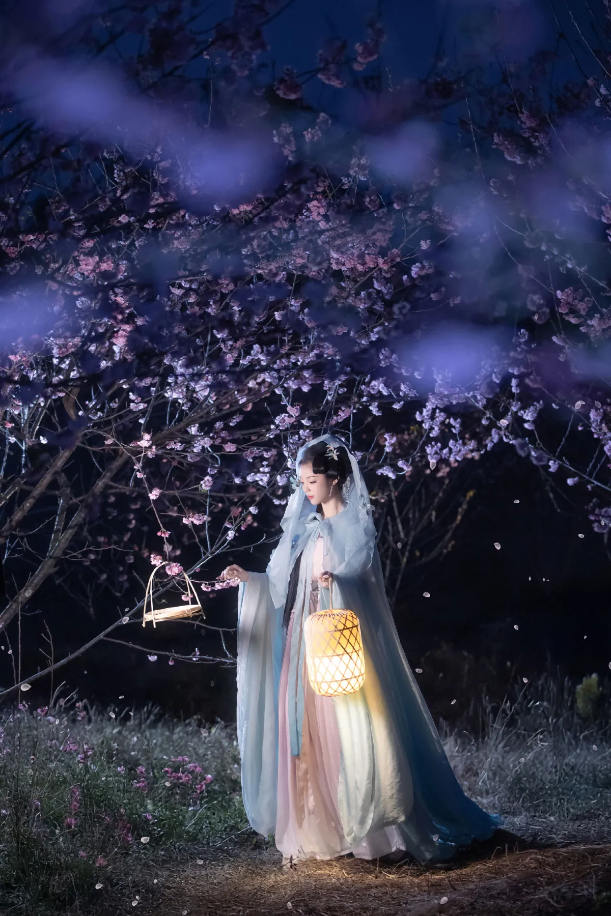 梦遣看花人