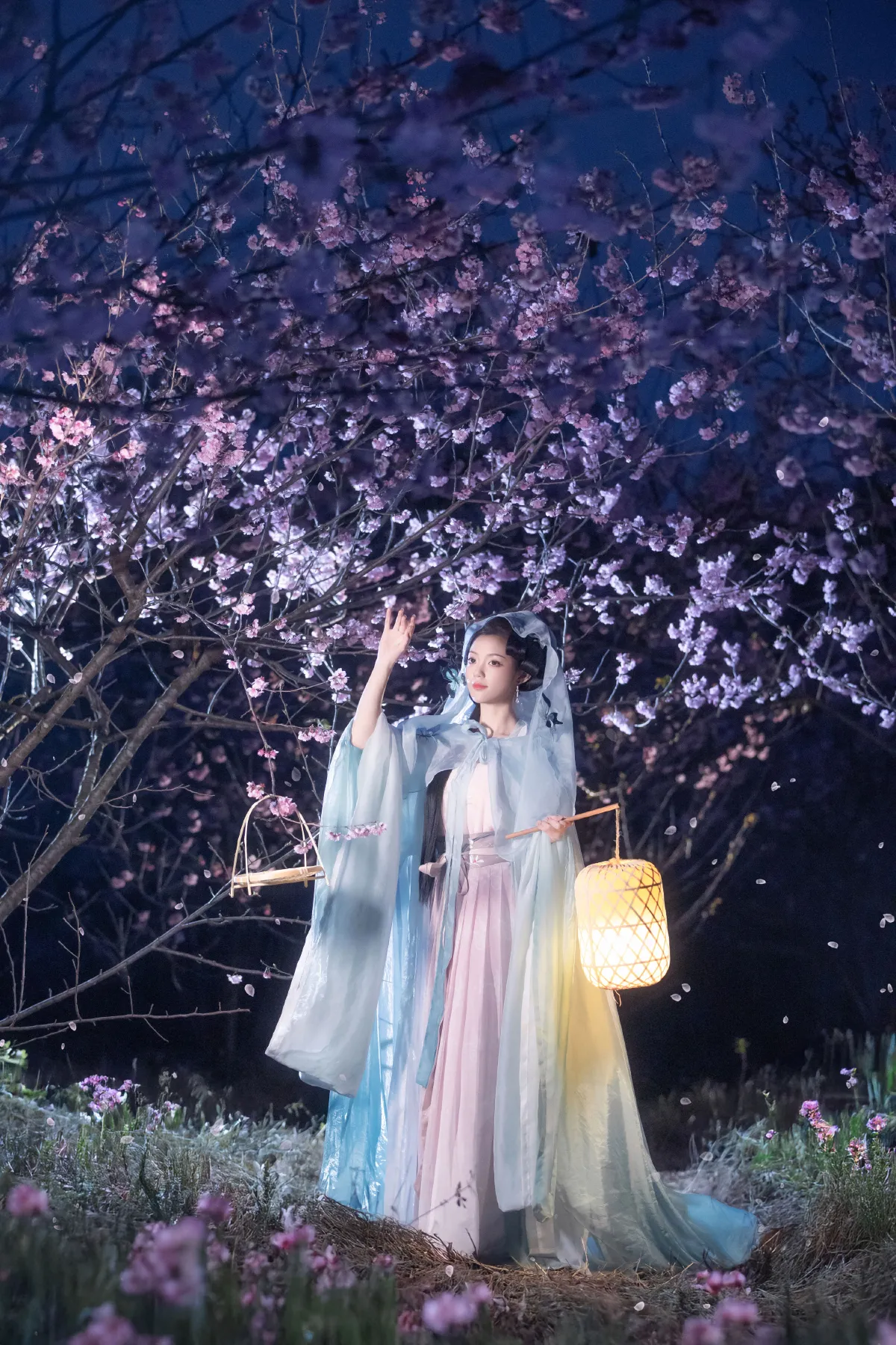 梦遣看花人