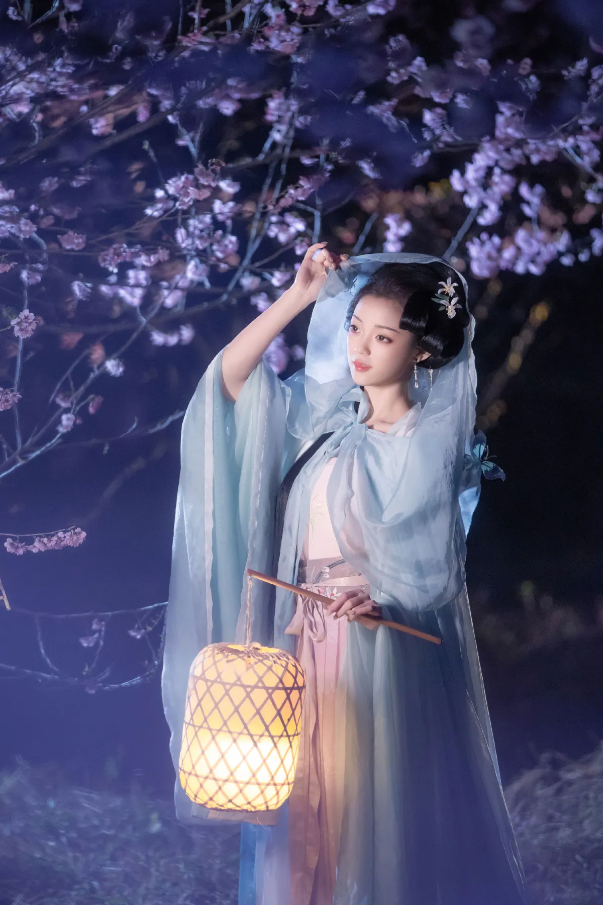 梦遣看花人