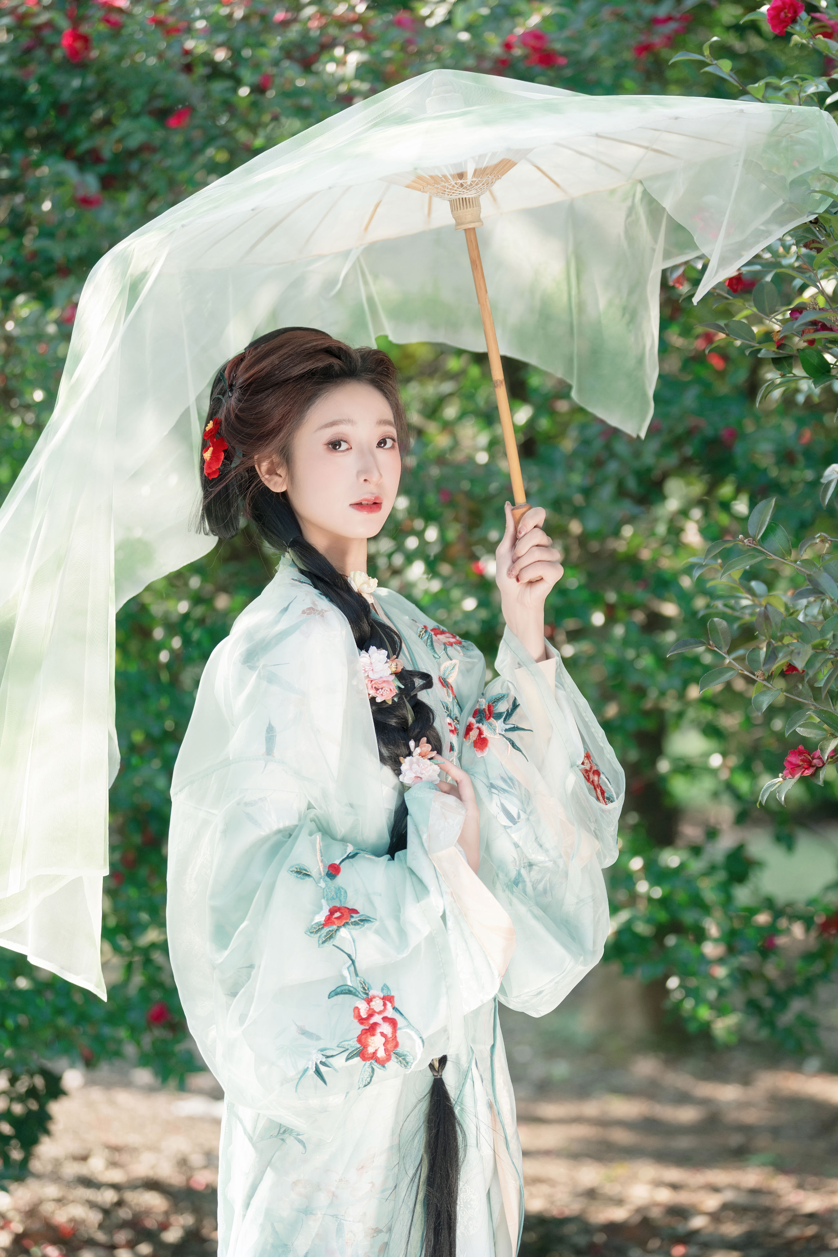 山茶花