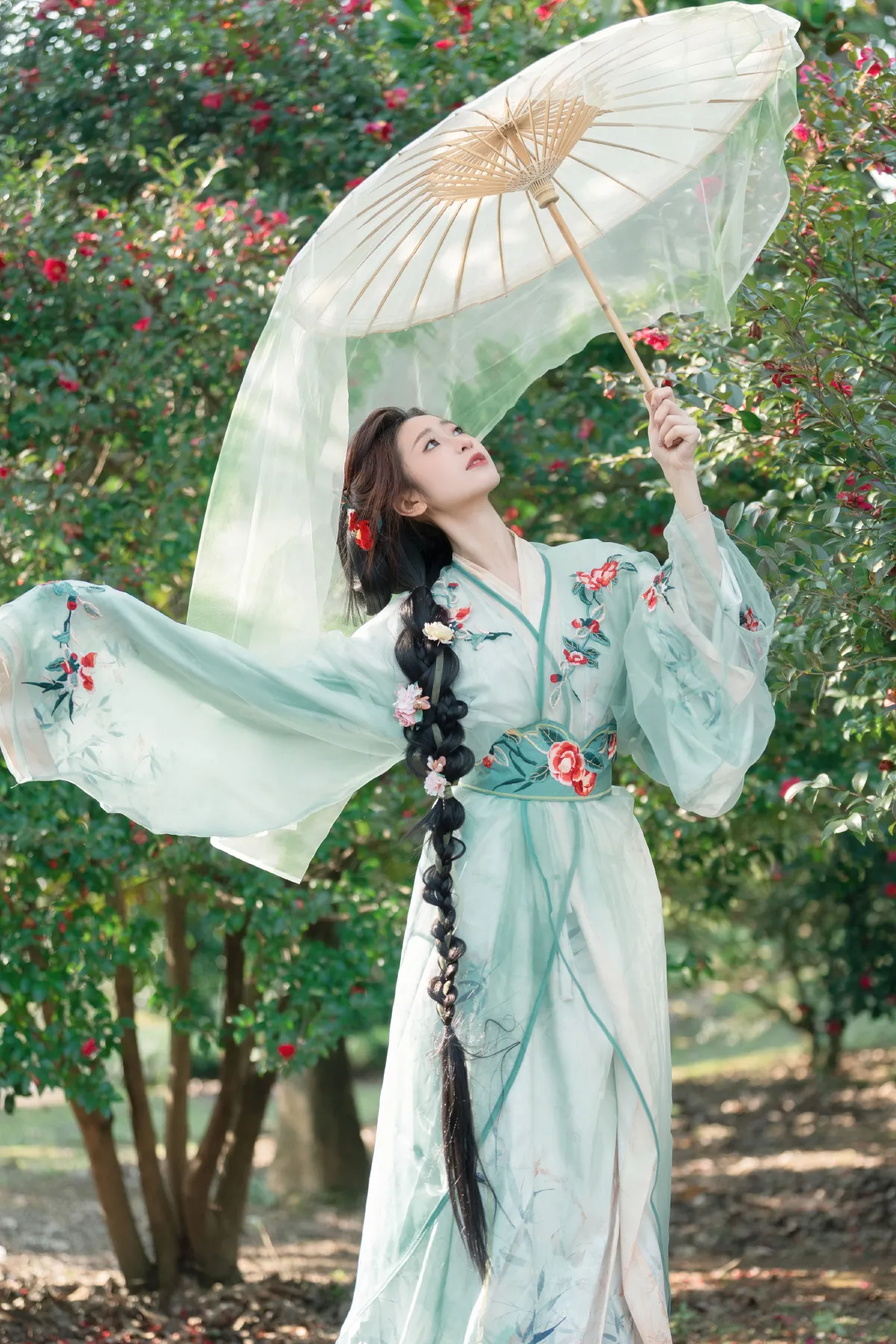 山茶花
