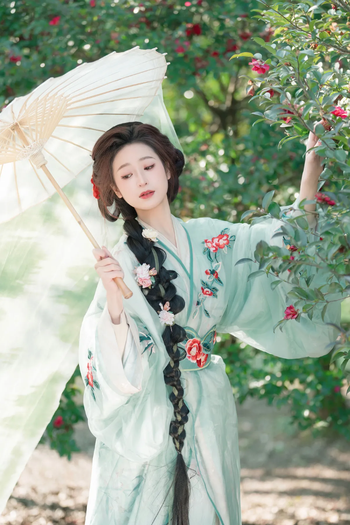 山茶花