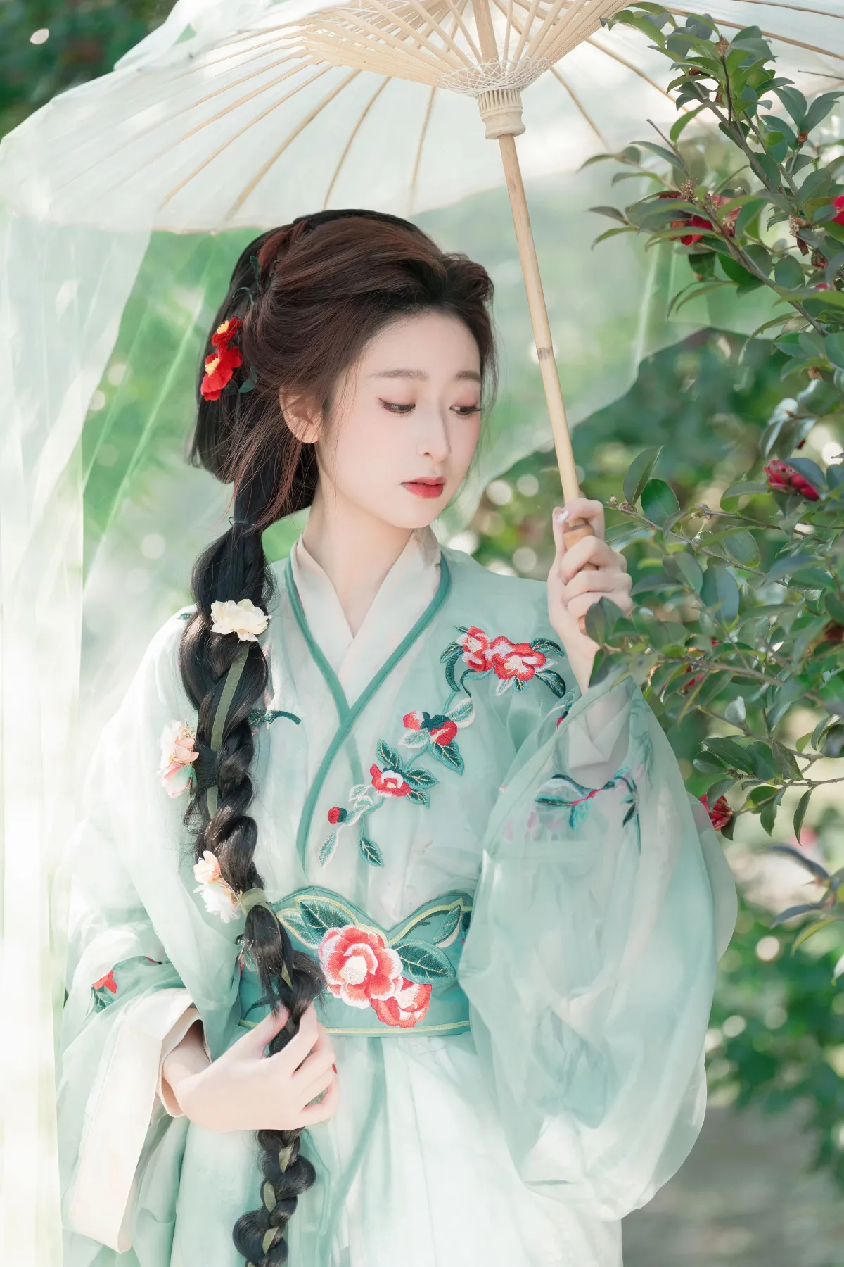 山茶花