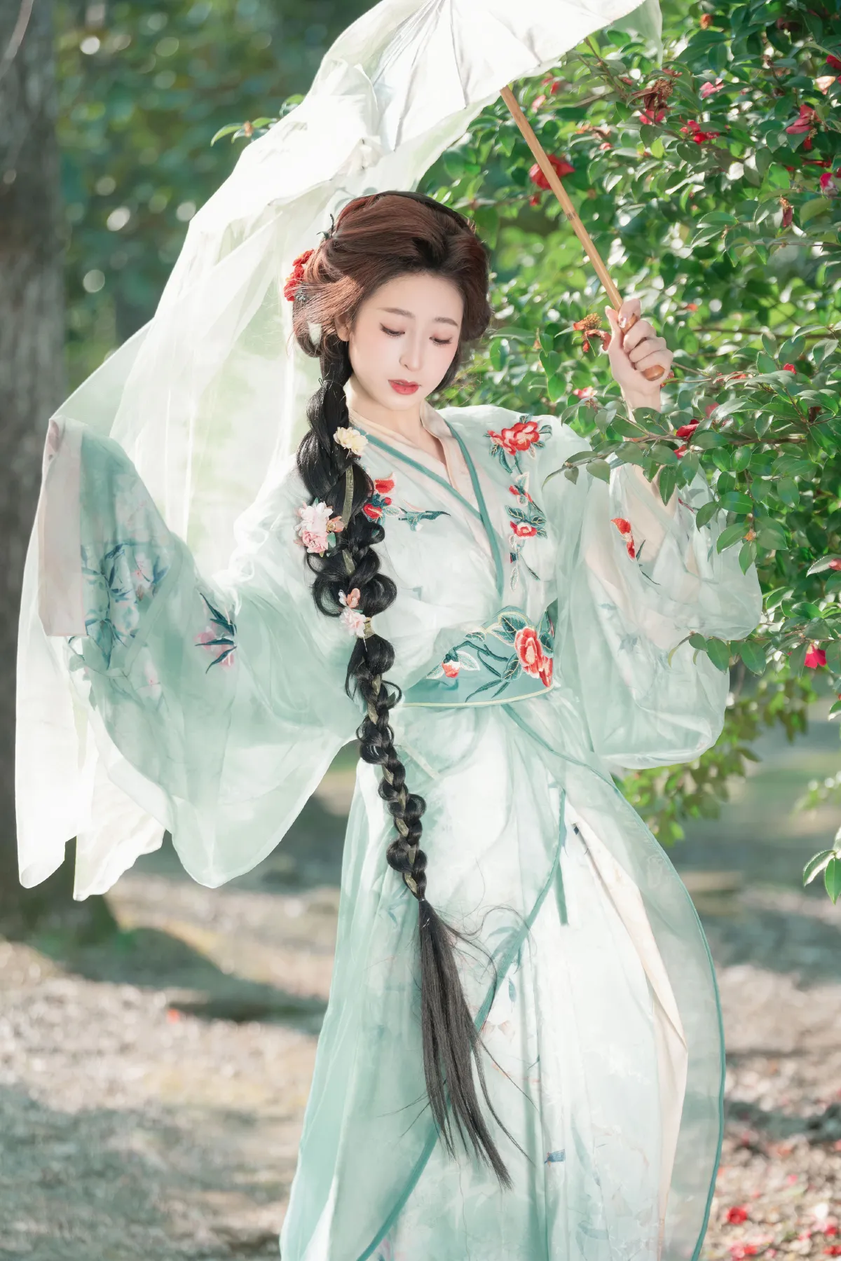 山茶花