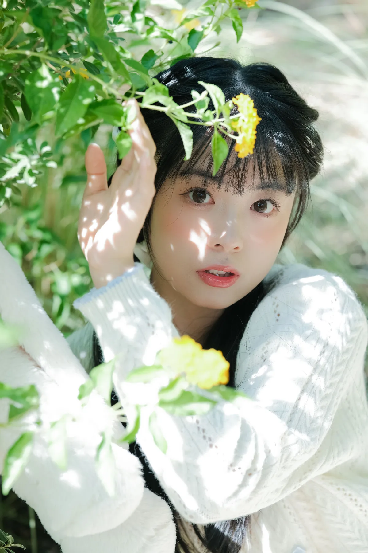 春天的漩涡