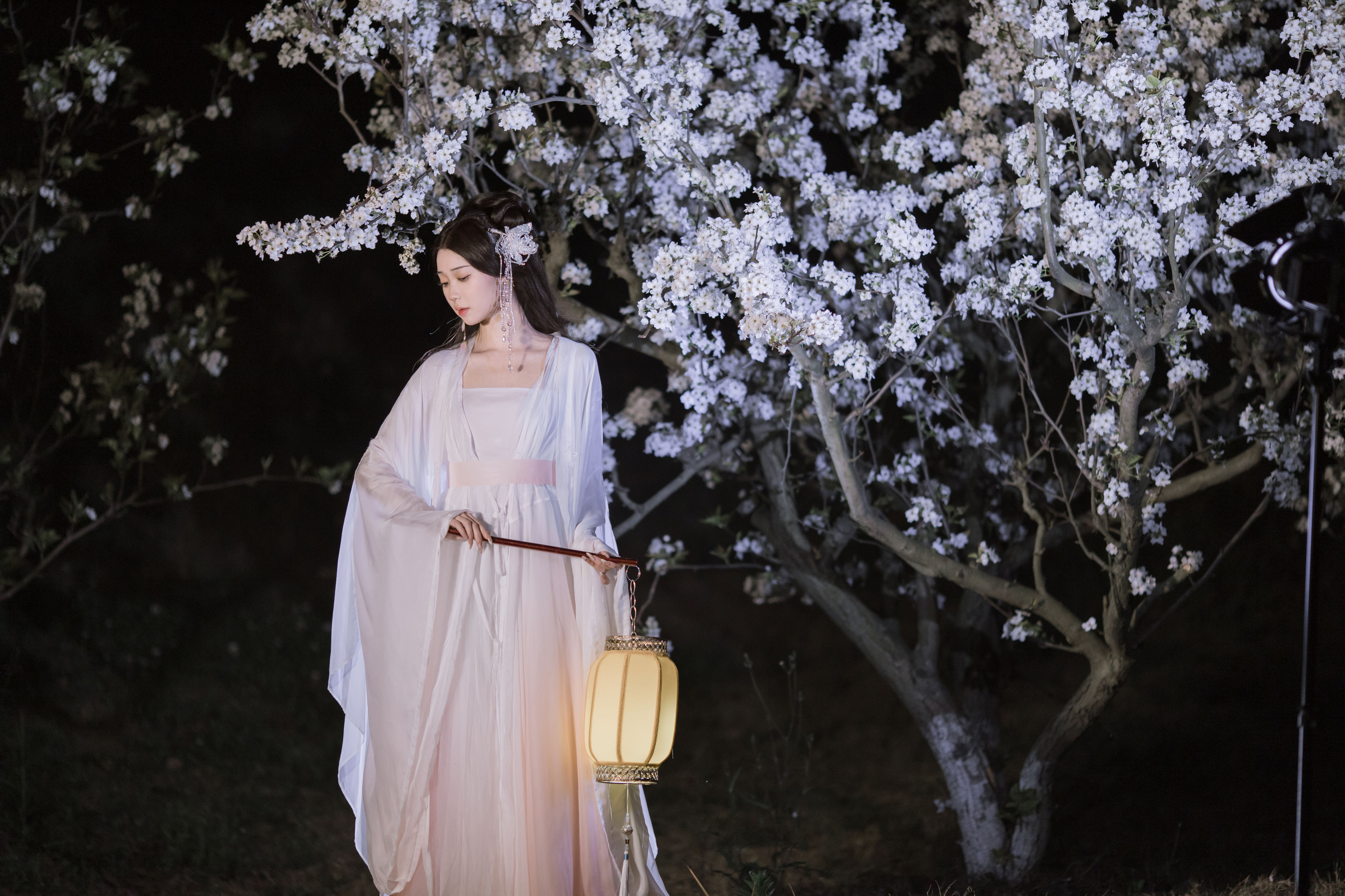 晓山青_褚鸢鸢《叶冰裳仿妆》美图作品图片5