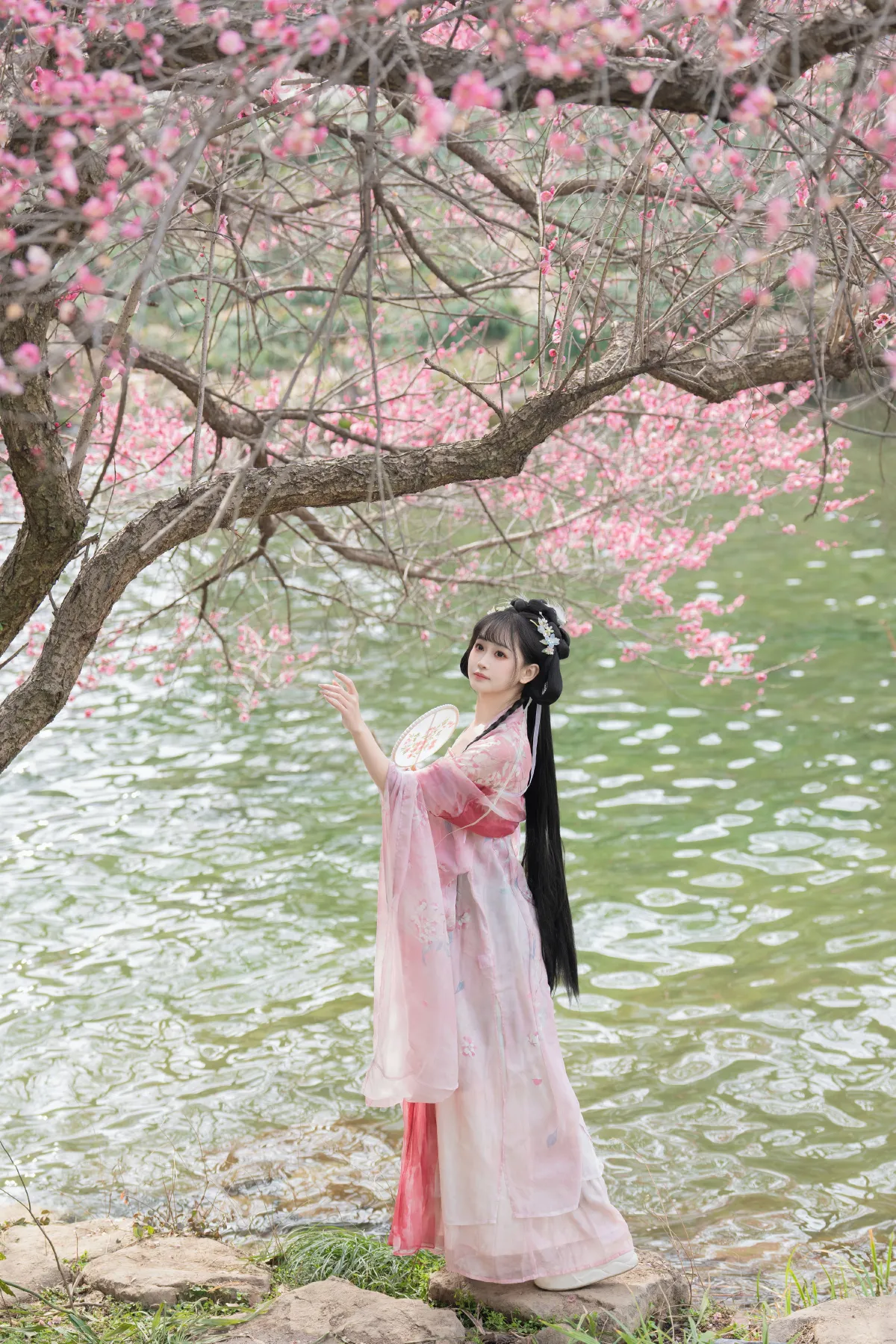 梅花盛开1