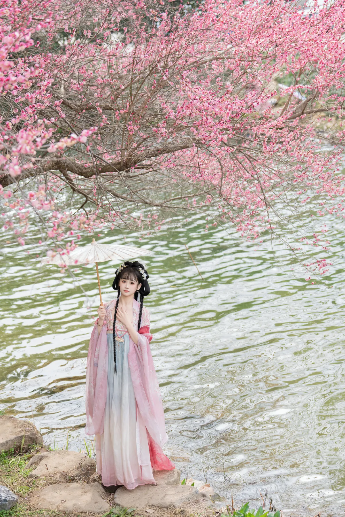 梅花盛开2
