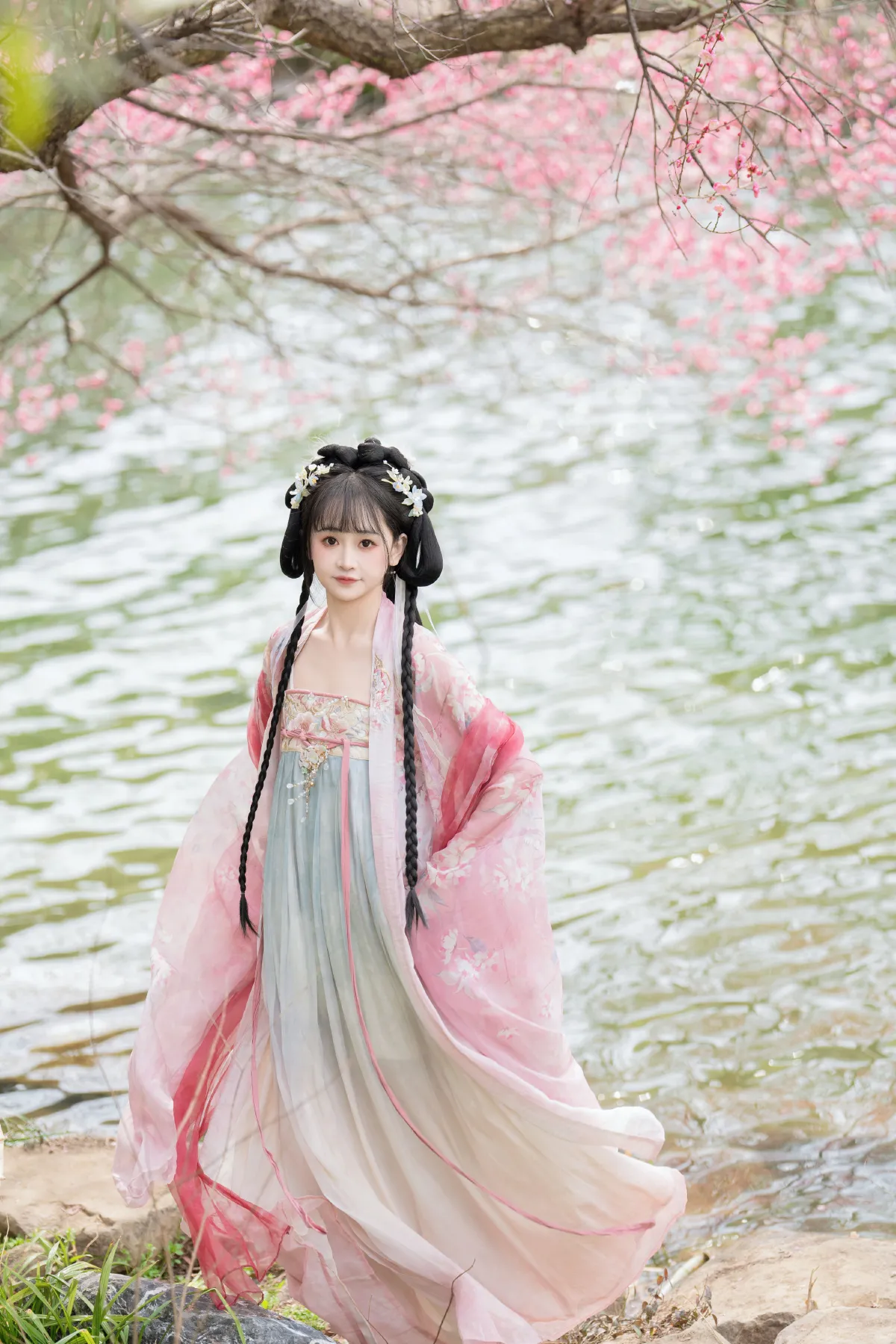 梅花盛开3