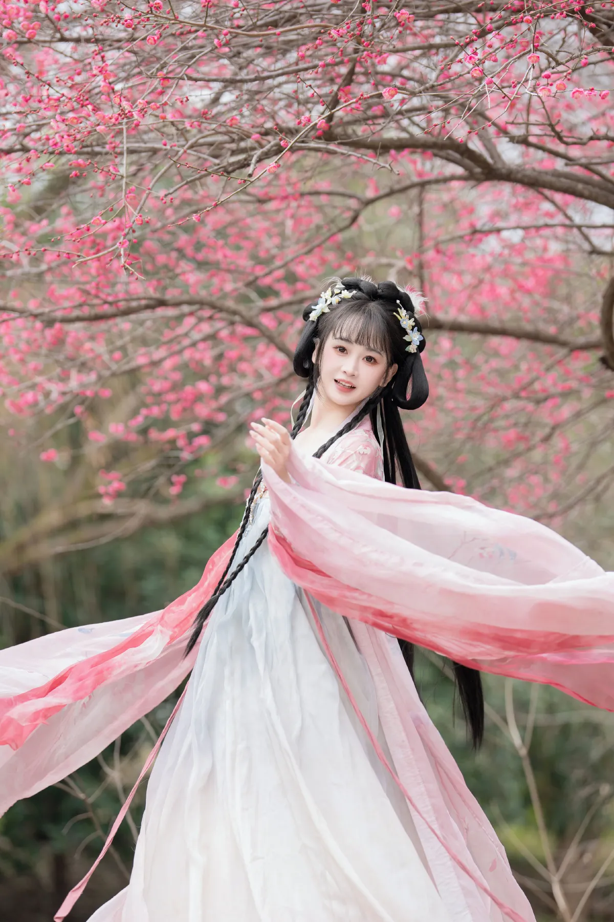 梅花盛开5