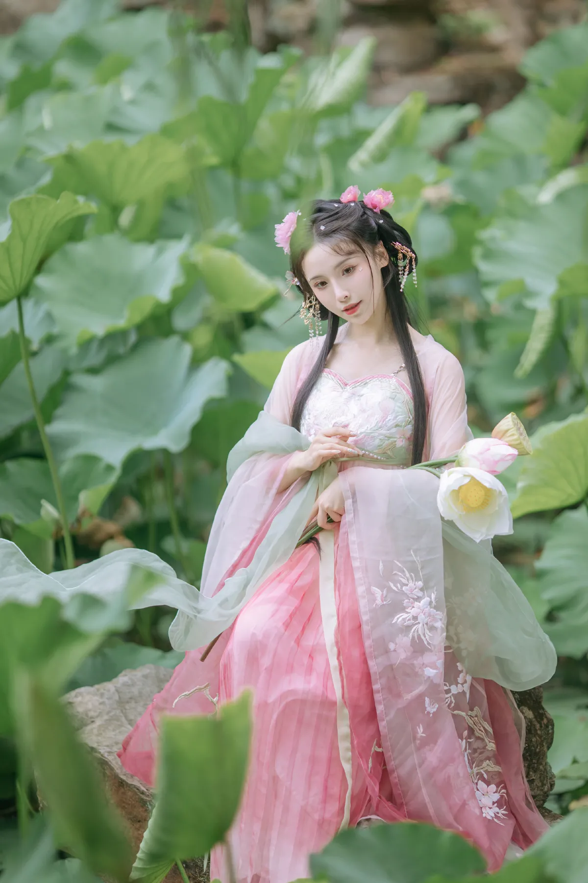 晓山青_一小枝枝枝枝《荷香袅袅》美图作品图片3
