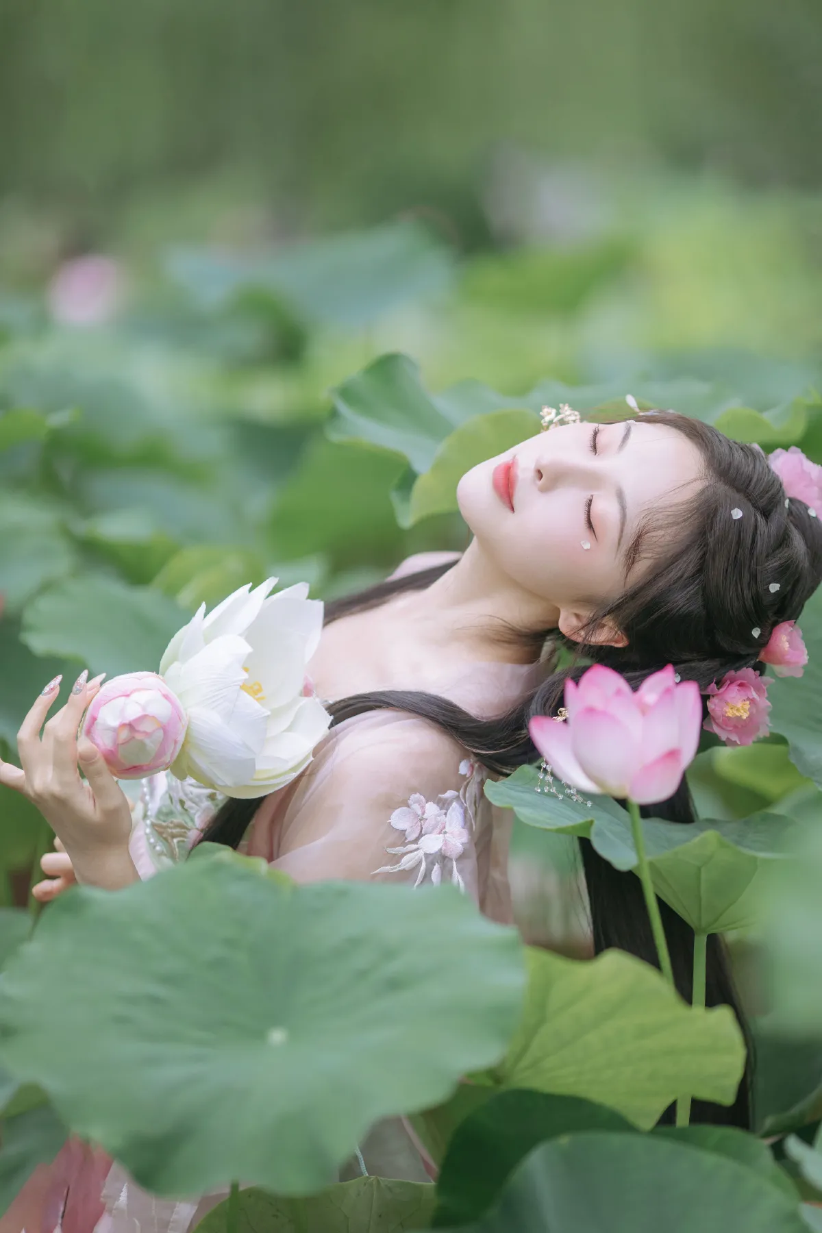 晓山青_一小枝枝枝枝《荷香袅袅》美图作品图片5